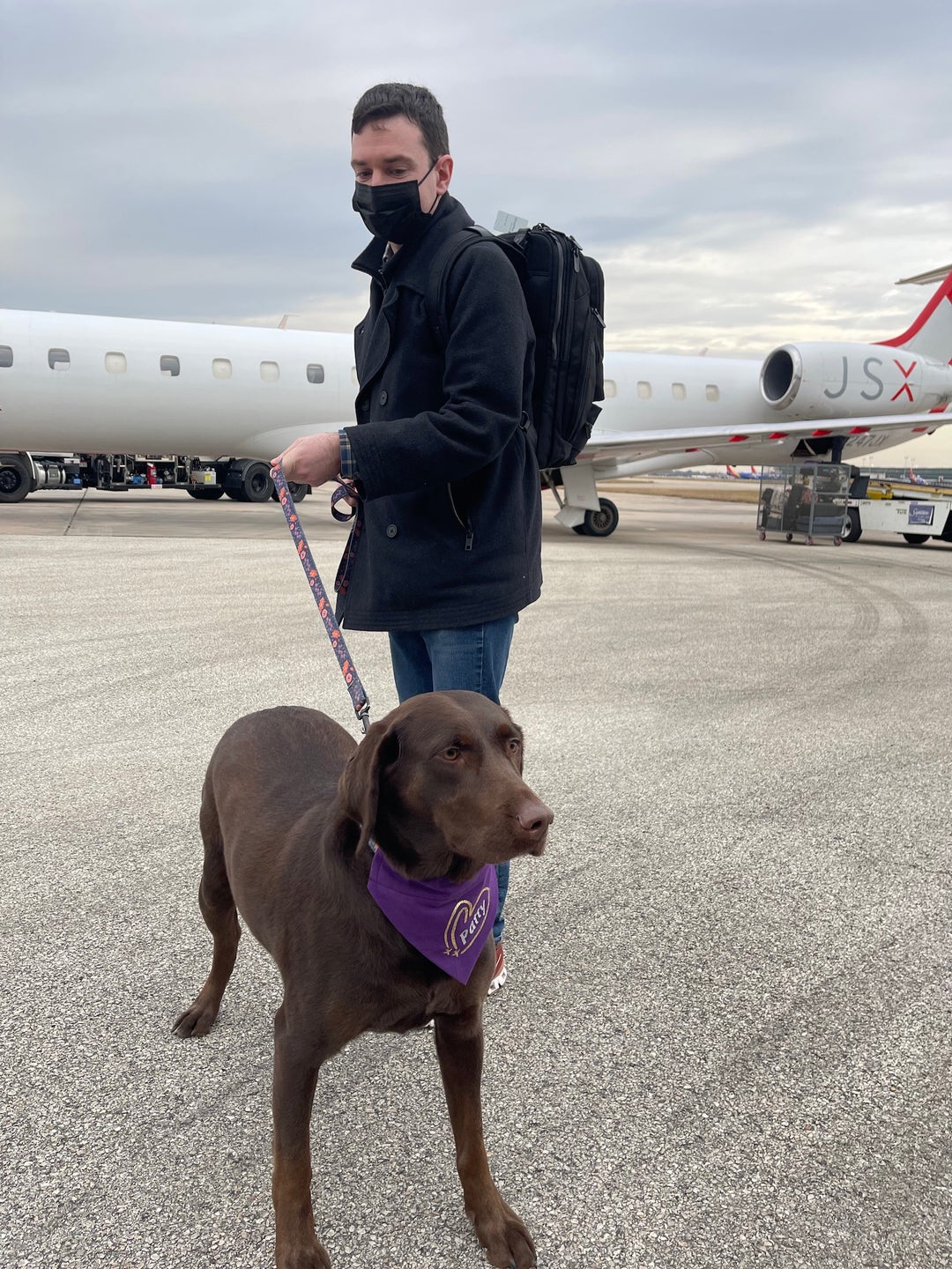 A pawsitive experience Taking my dog on JSX for her firstever flight