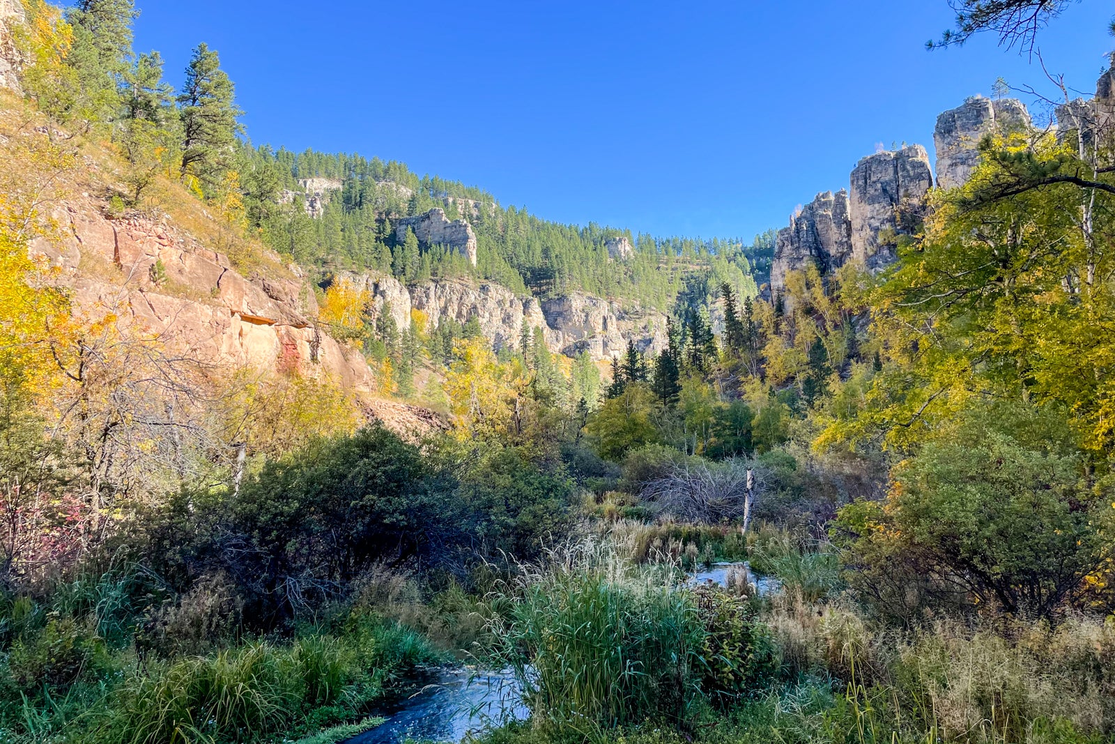 Bison, Badlands and the Black Hills: What I saw on a 3-day trip to South  Dakota - The Points Guy