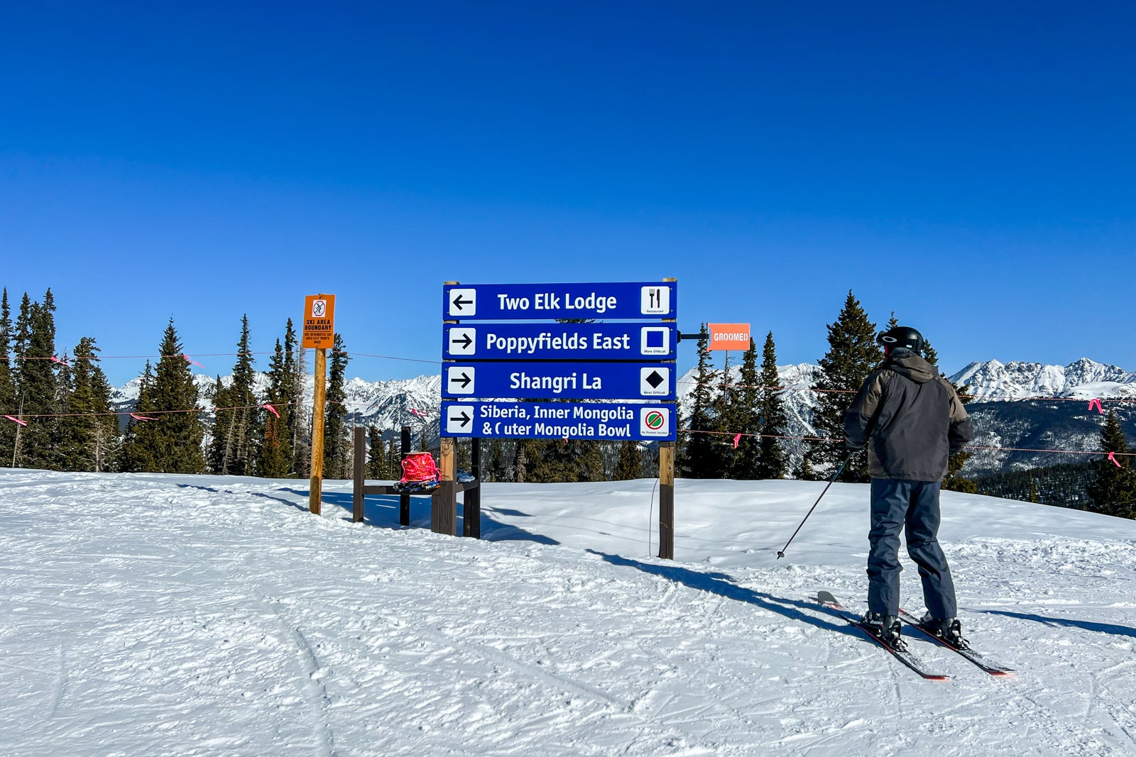 The Back Bowl