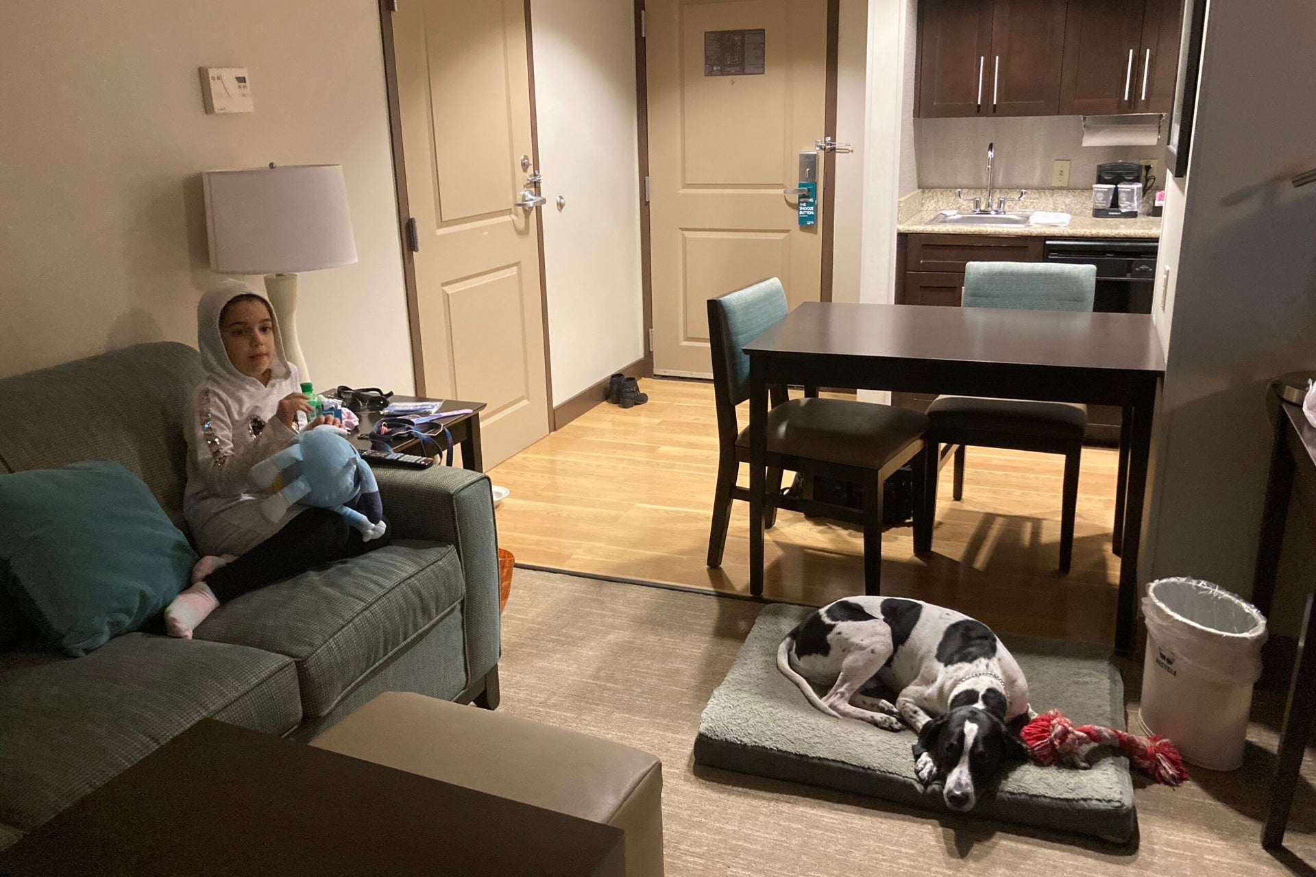 Don't be fooled by a 'petfriendly' hotel — it'll almost always cost