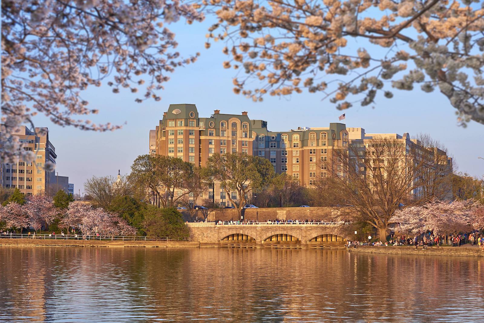 Mandarin oriental hotel with cherry trees in blossom