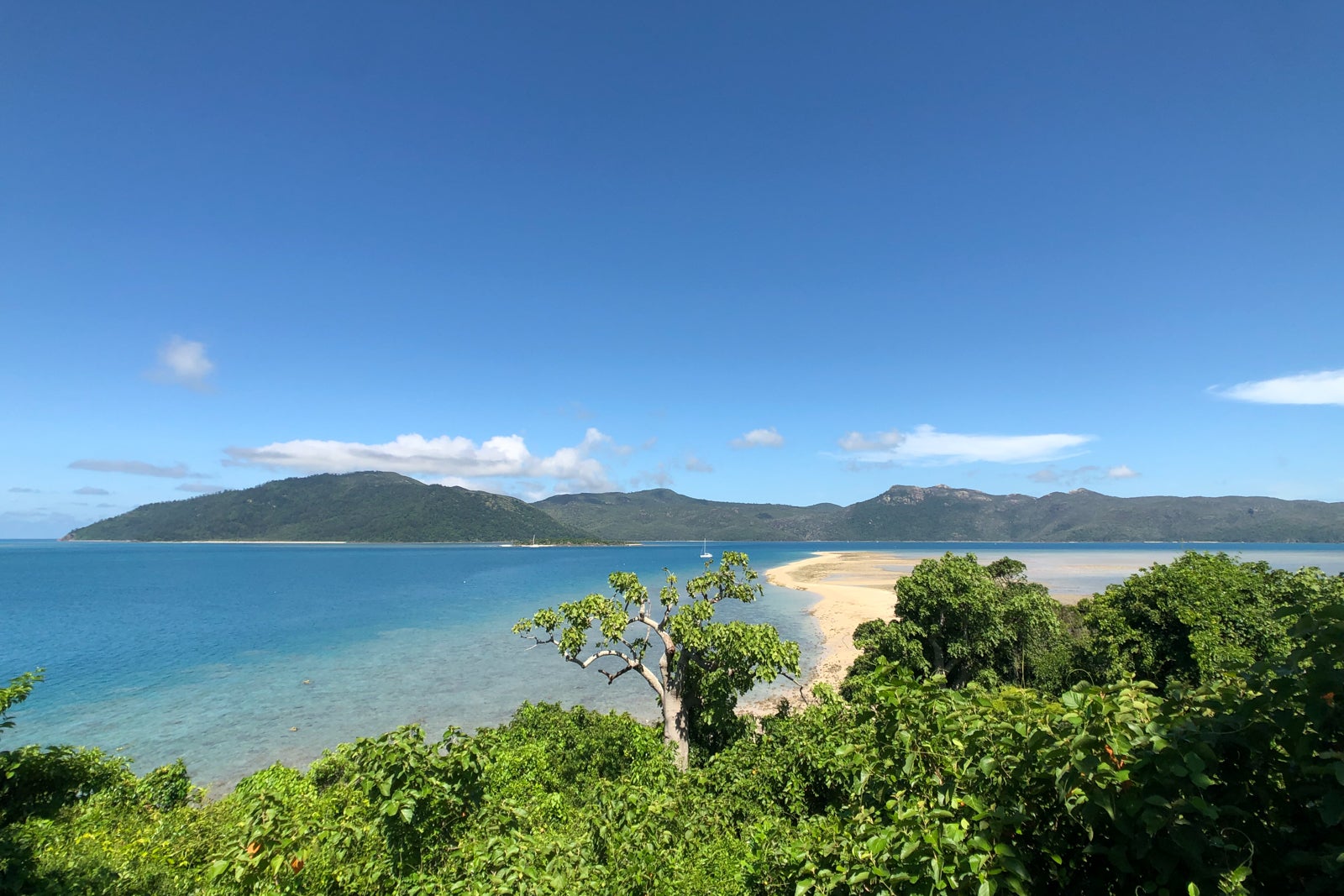 great barrier reef tours from hayman island