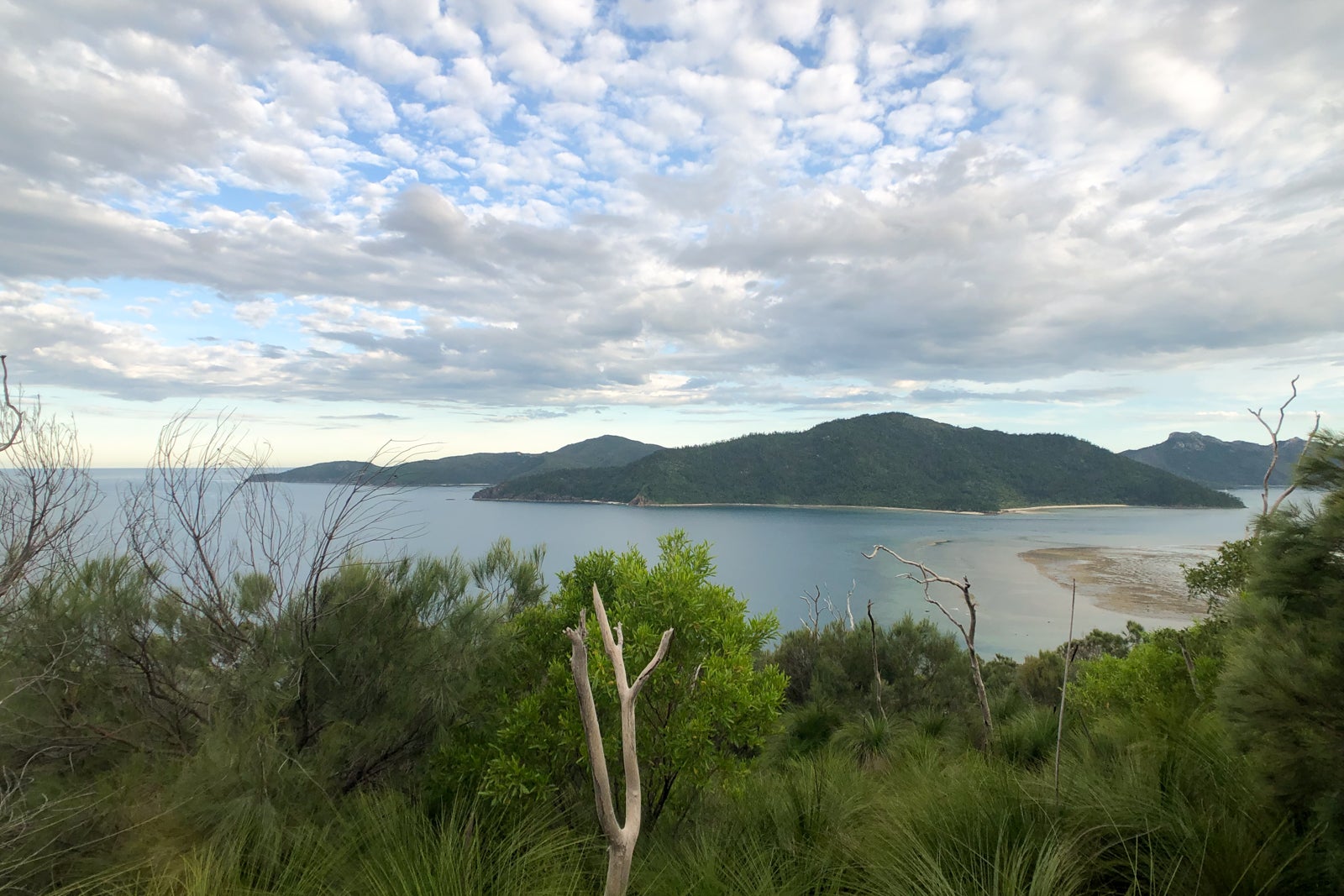 great barrier reef tours from hayman island