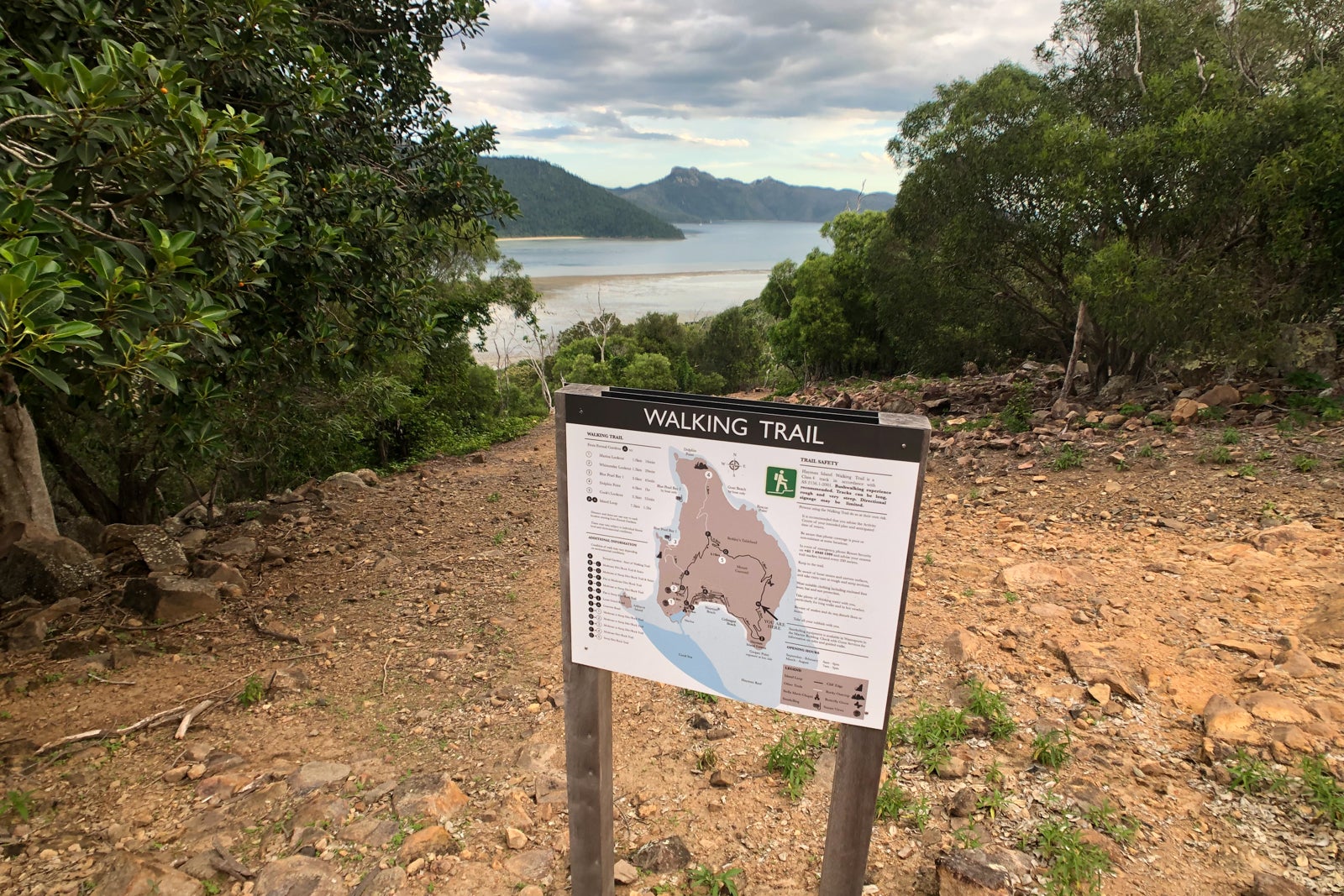 great barrier reef tours from hayman island