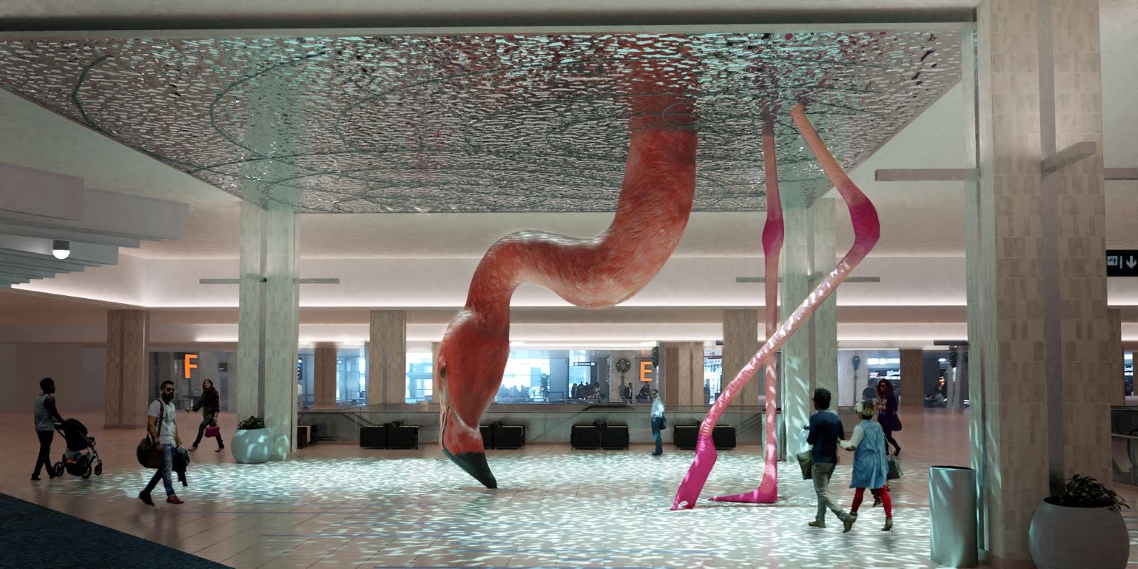 Tampa Flamingo