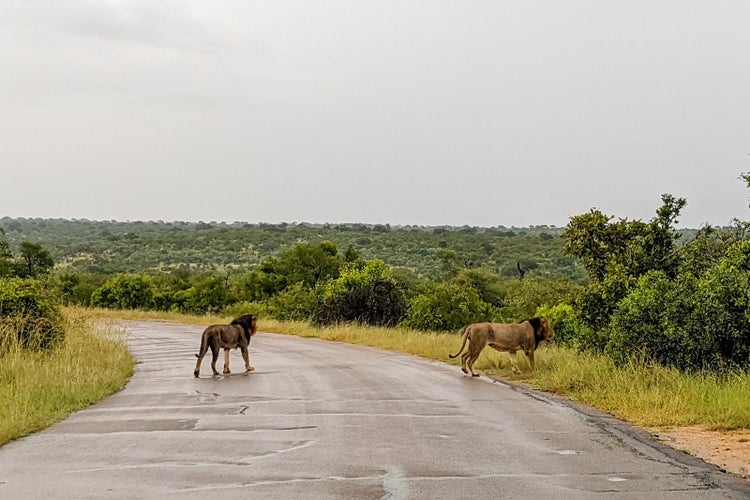 Why Protea Hotel Kruger Gate in South Africa is great for self-drive ...