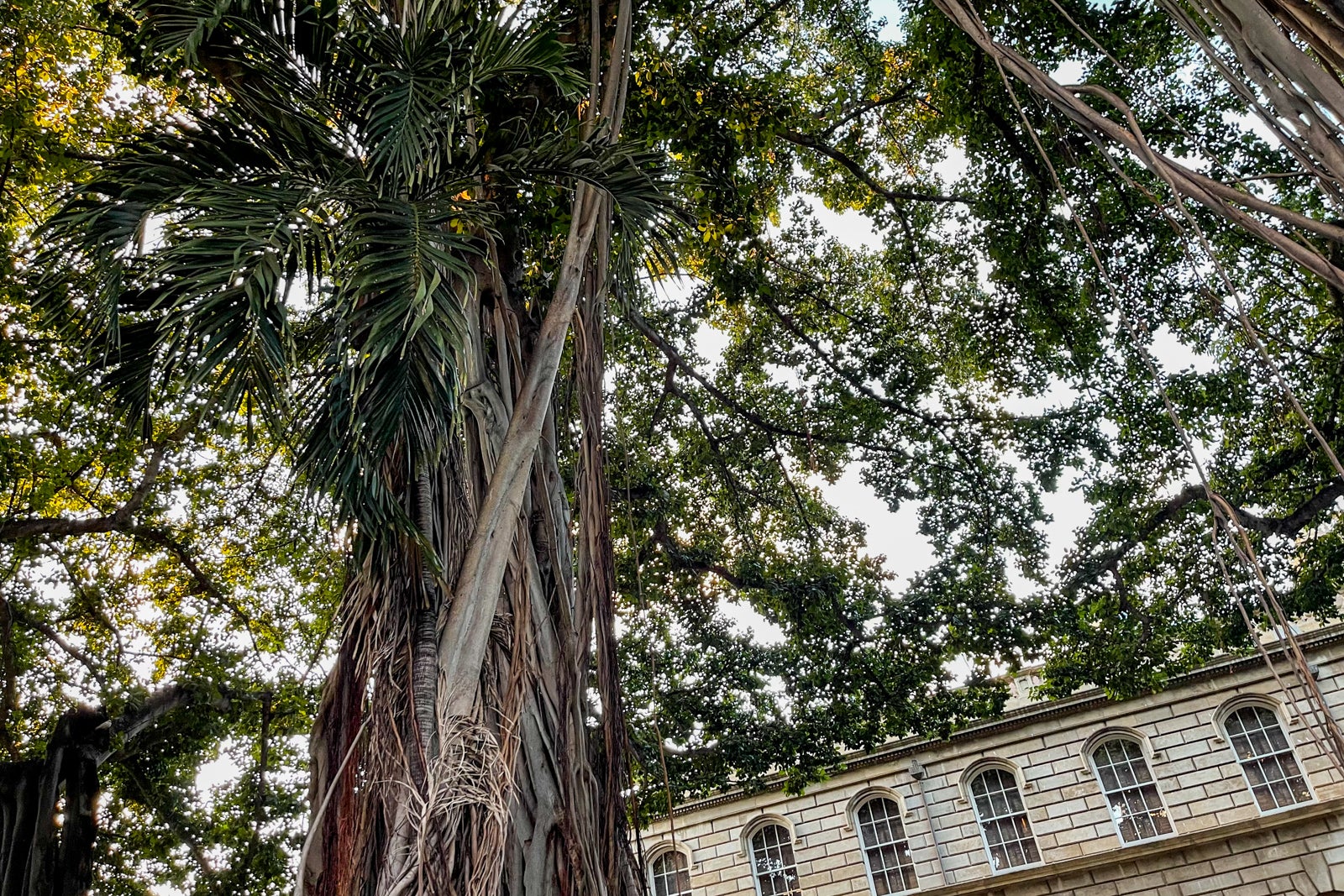 Hawaii Ghost Tour