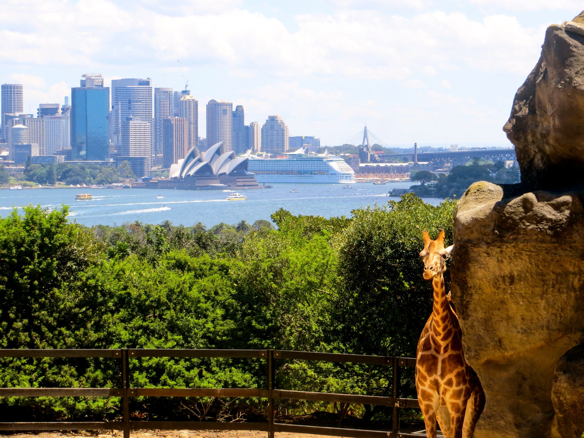 7 outdoor activities in Sydney perfect for travel during COVID19 The