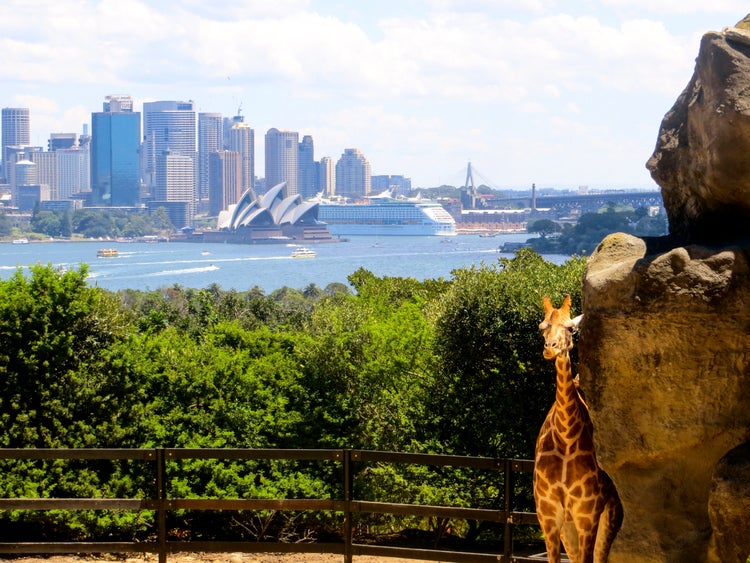 7 outdoor activities in Sydney perfect for travel during COVID-19 - The ...