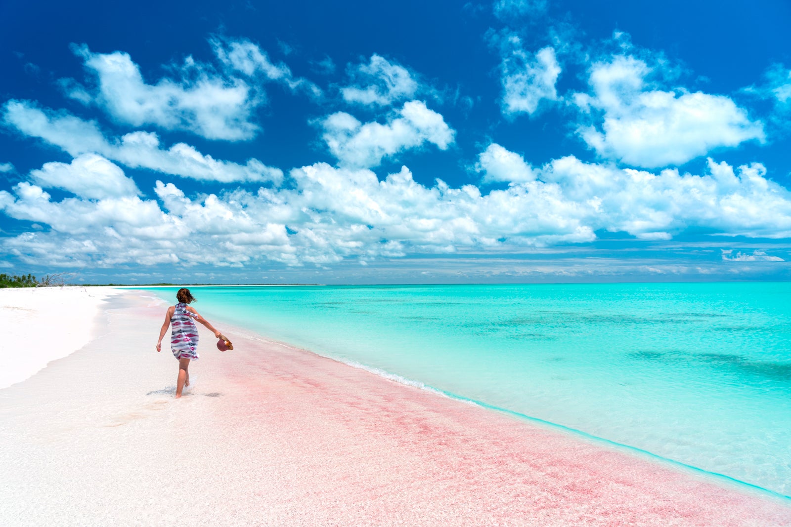 pink sand beach in the Bahamas