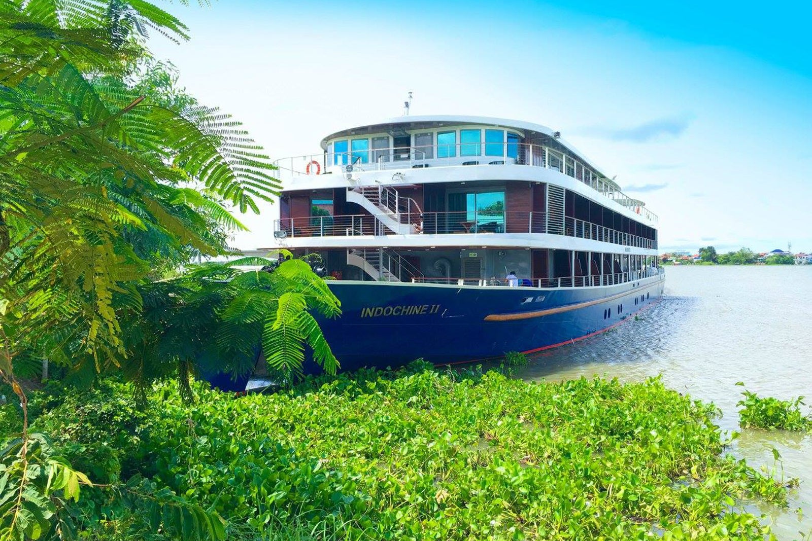 kids sail free cruise