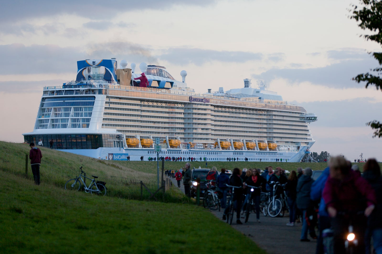 which cruise line is best for adults