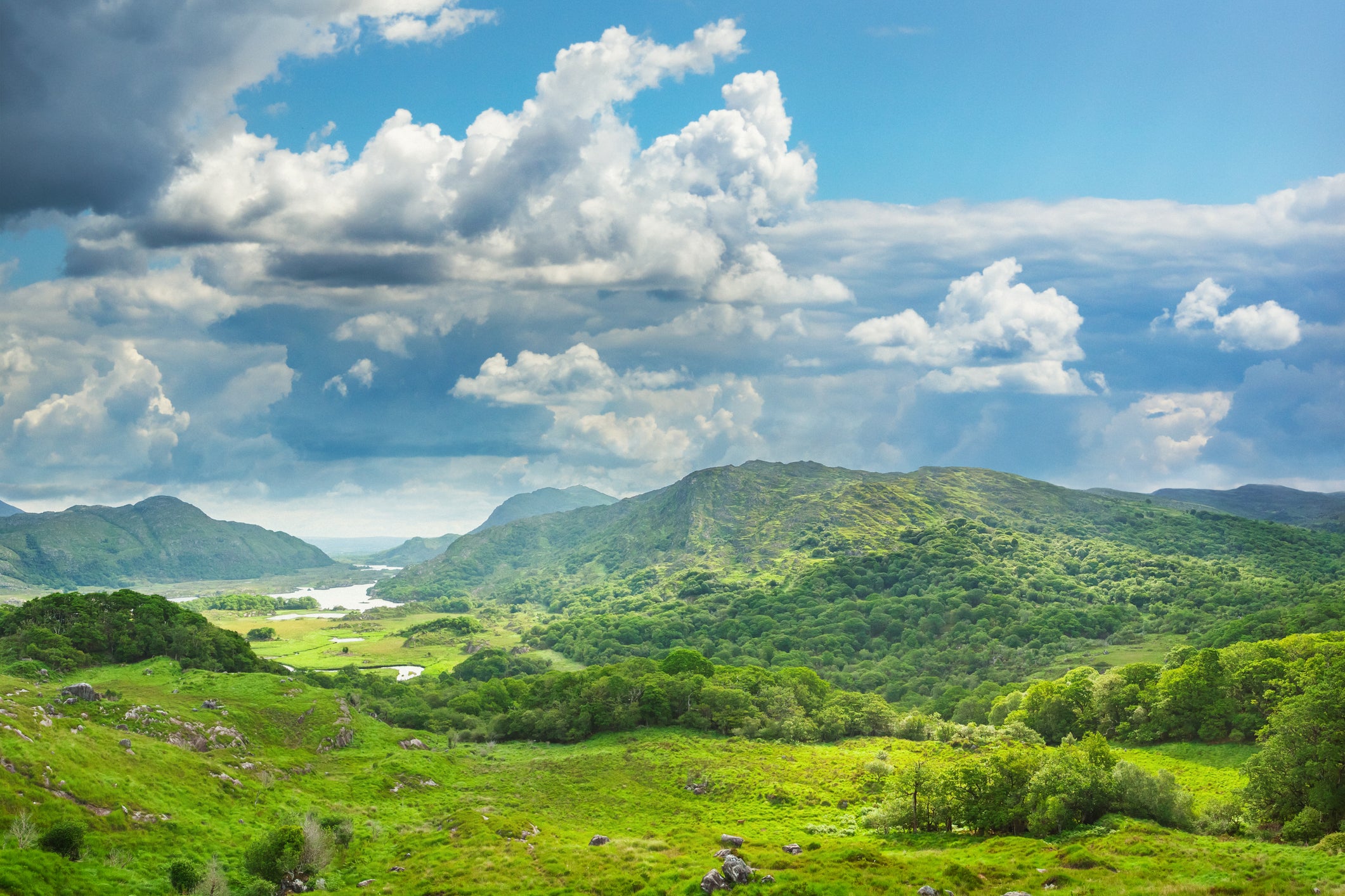 Lakes of Killarney as seen from the Ladies View - Ring of Kerry, County Kerry, Ireland