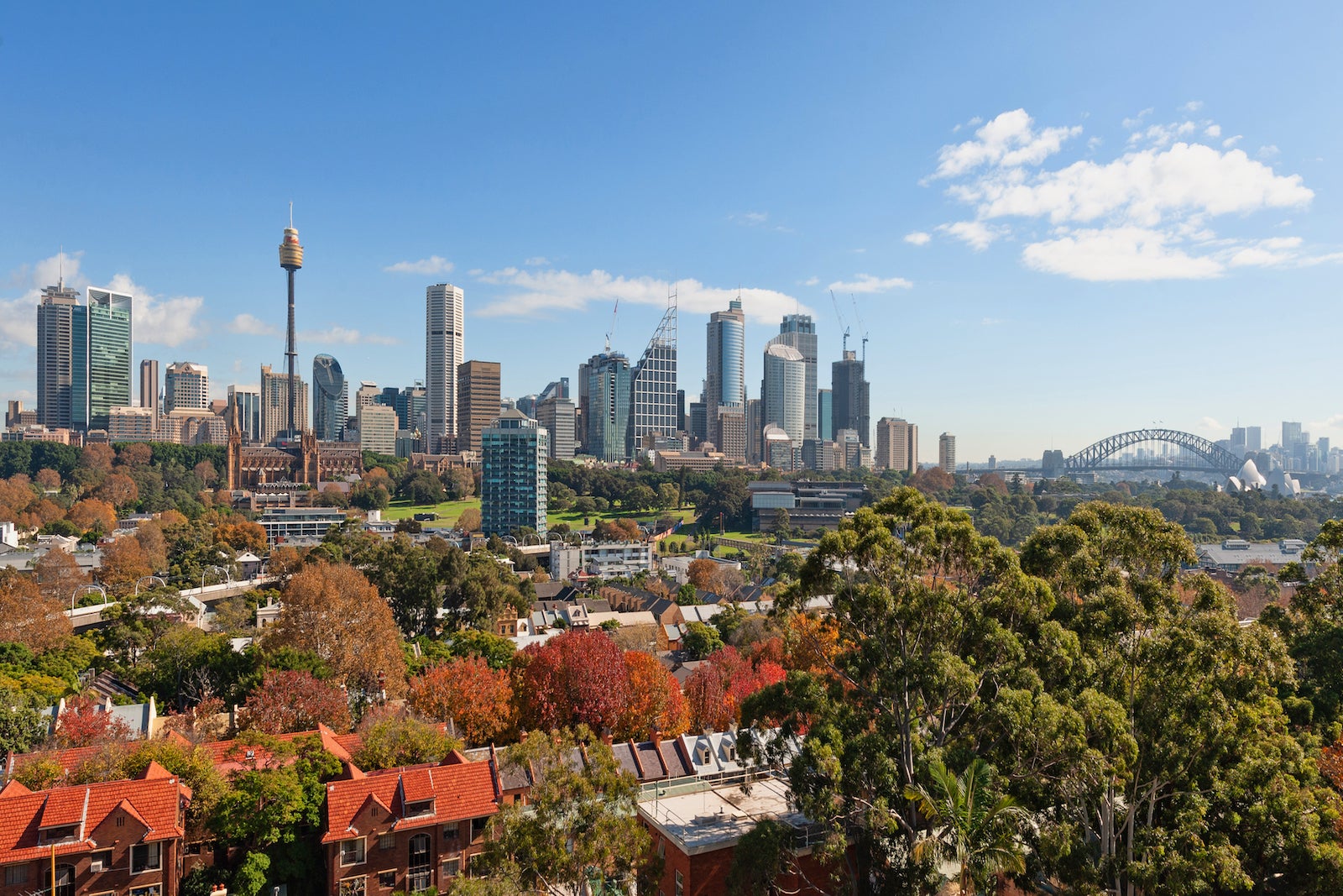 Photography of Sydney skyline cityscape, suburb and houses.