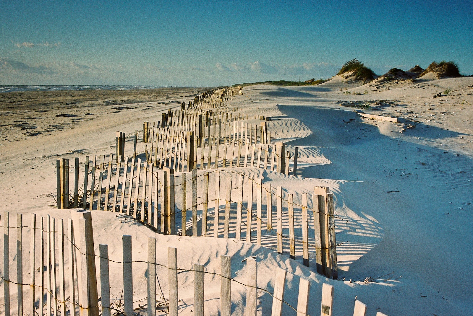 Dune fence in Nags Head, SC