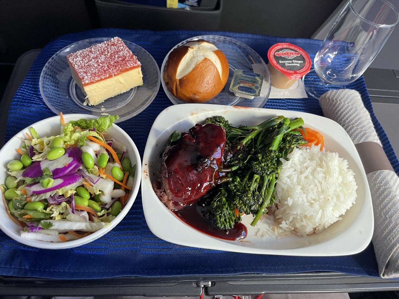 A United Airlines domestic first class meal