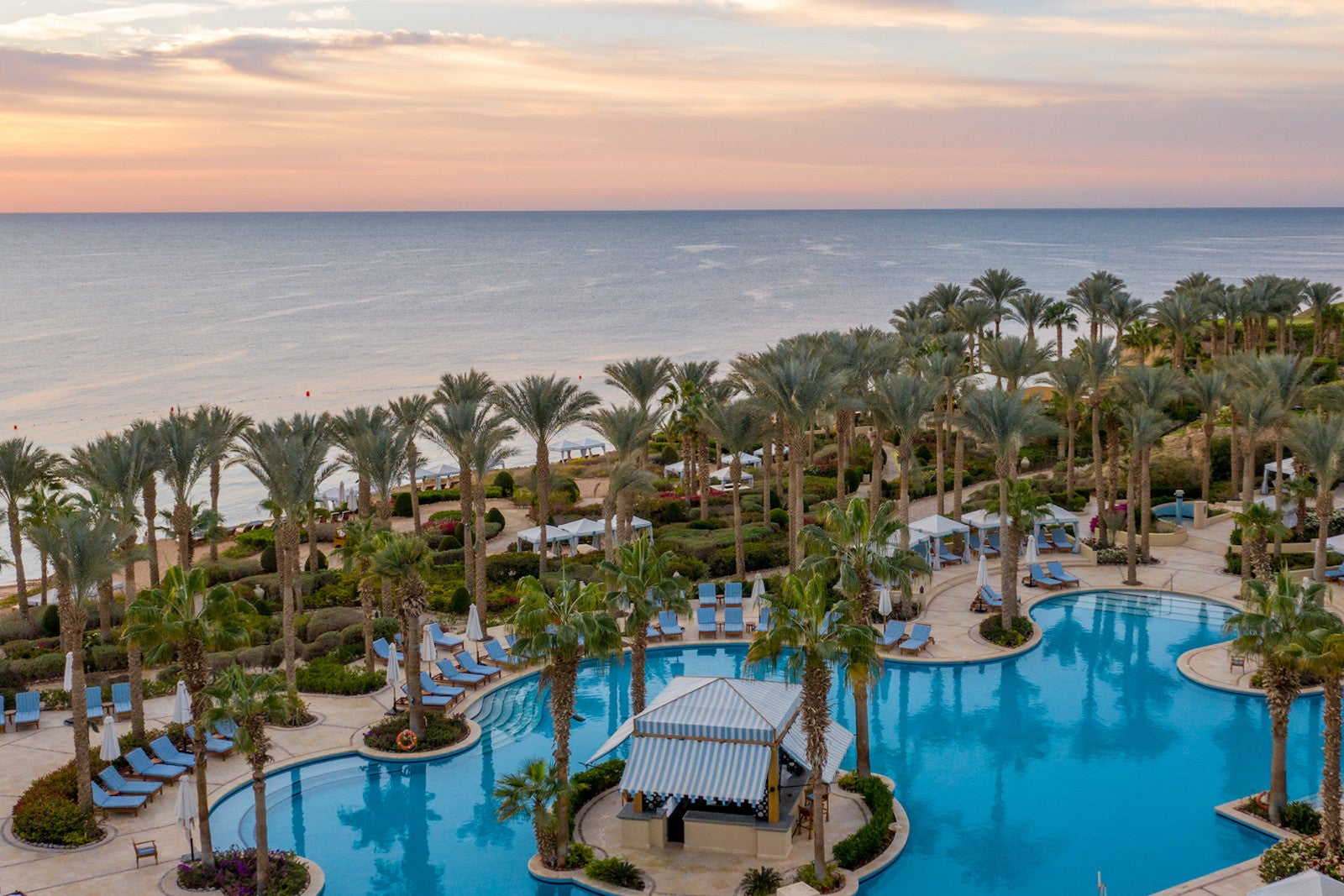 resort pool surrounded by palm trees and overlooking the Red Sea