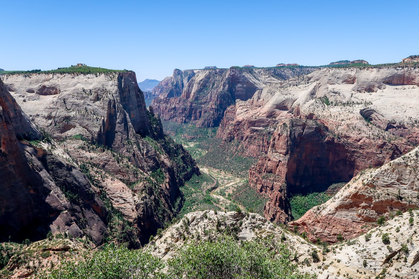 View from the Observation Point in Zion