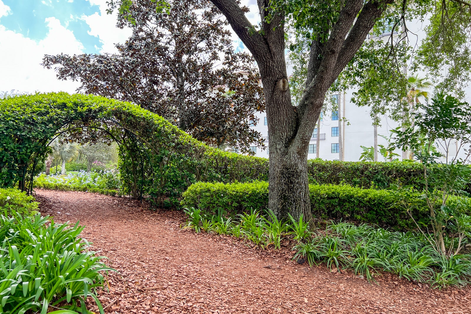 Hard Rock Hotel Universal Orlando walking path