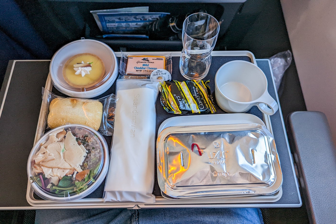 Flying premium economy on Scandinavian Airlines' new A321LR from ...