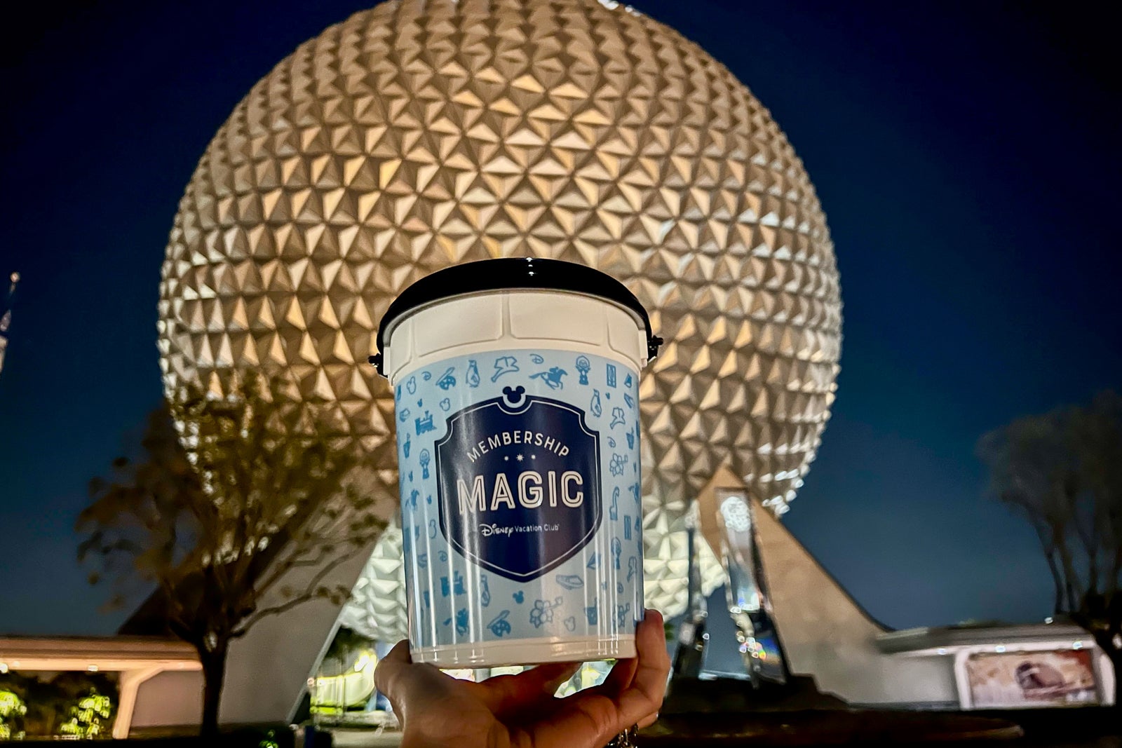 Your information to Moonlight Magic, a free after-hours occasion for DVC members at Disney World