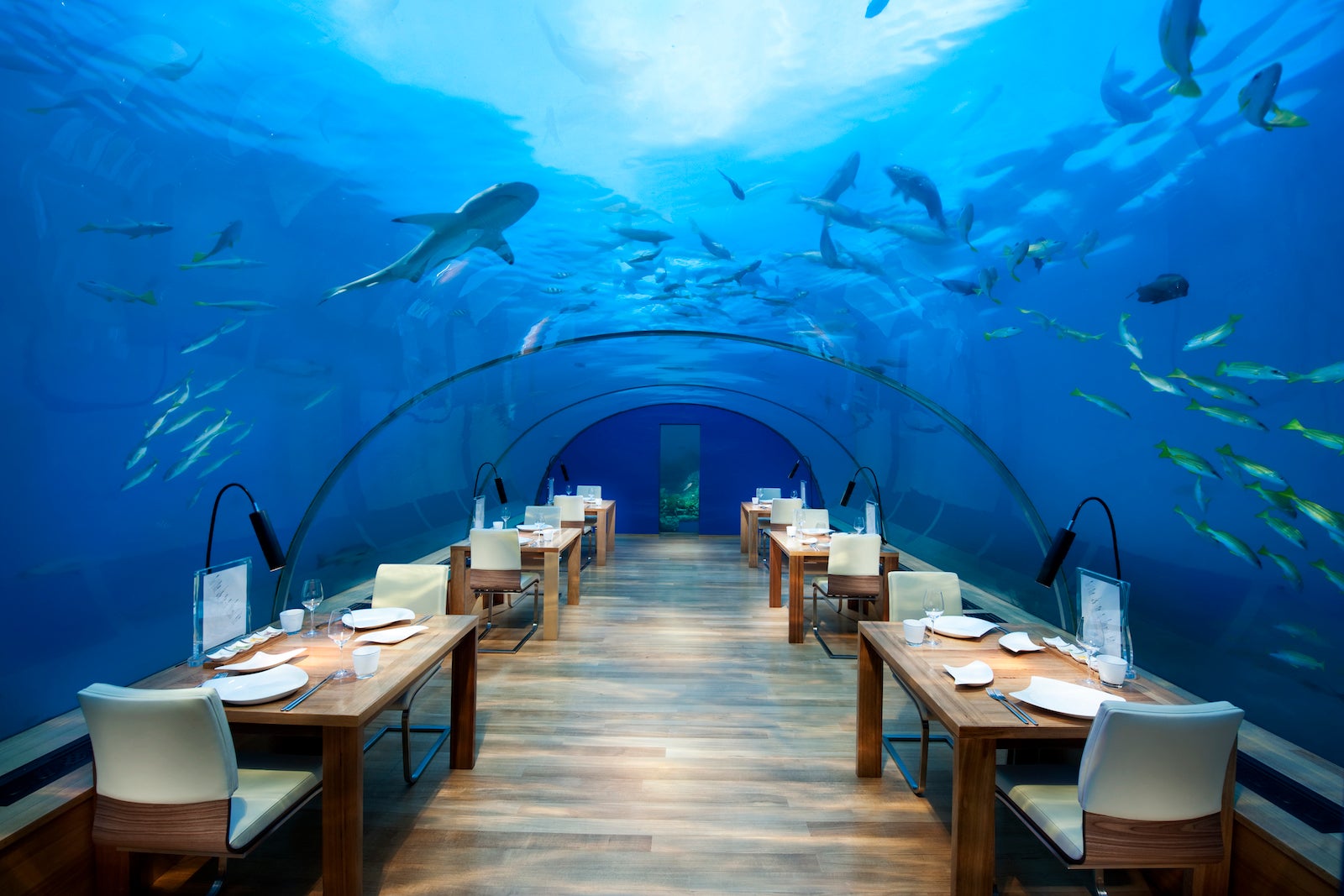 Resorts With Underwater Hotel Rooms And Restaurants - The Points Guy