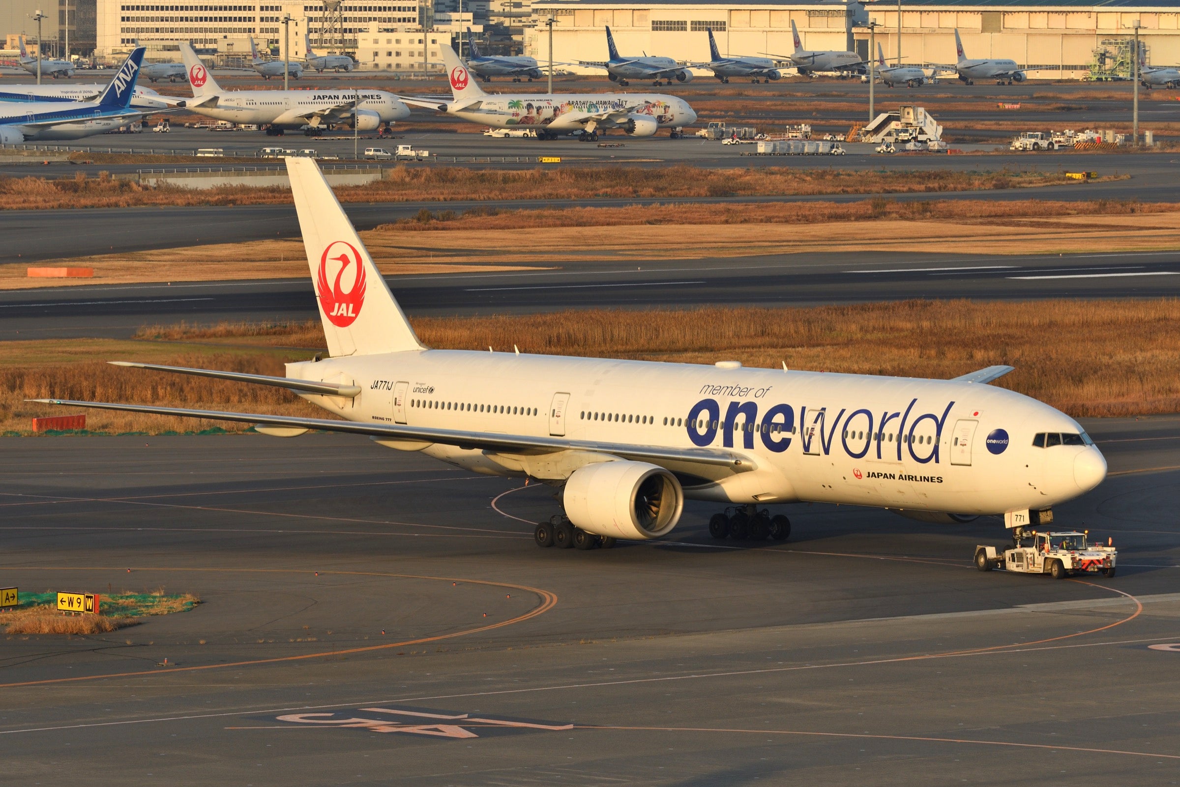 Japan Airlines plane in Oneworld alliance livery