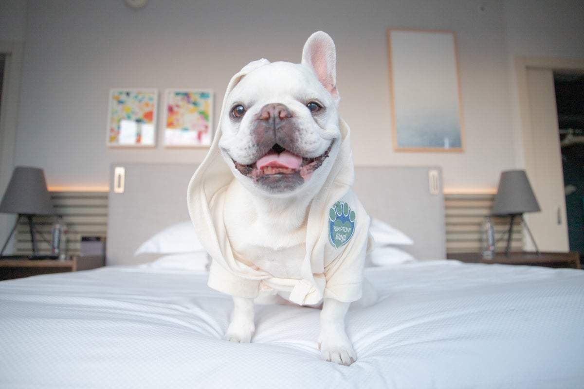 Kimpton adds more perks for pet guests with new Wag! partnership - The ...