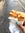 sandwich in Florence