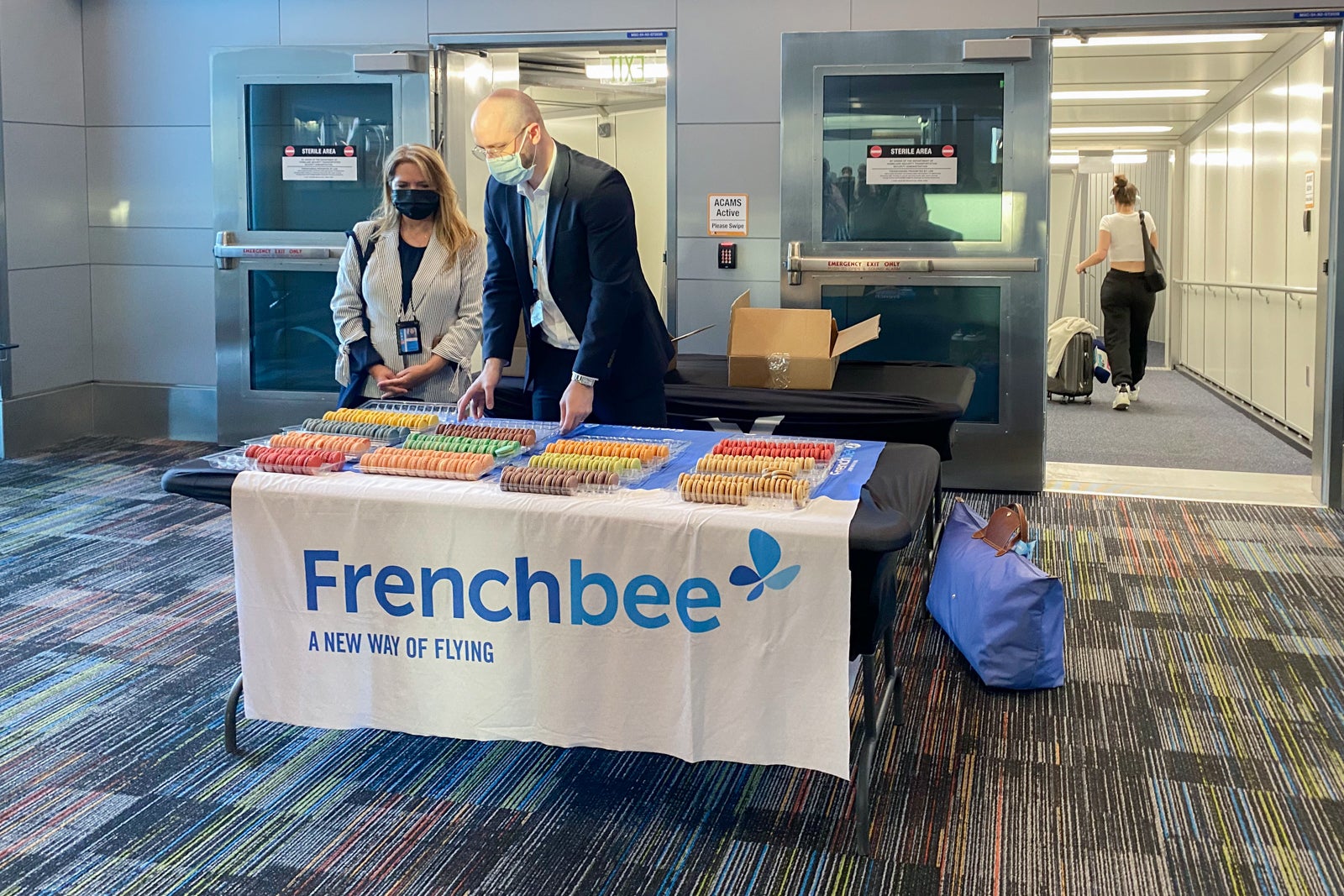 french bee virtual tour