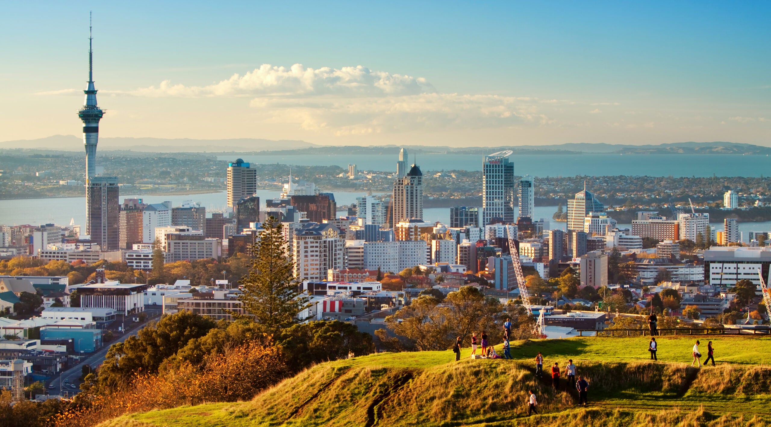 New zealand cities. Окленд новая Зеландия. Новозеландия Окленд. Окленд столица. Окленд новая Зеландия улицы.