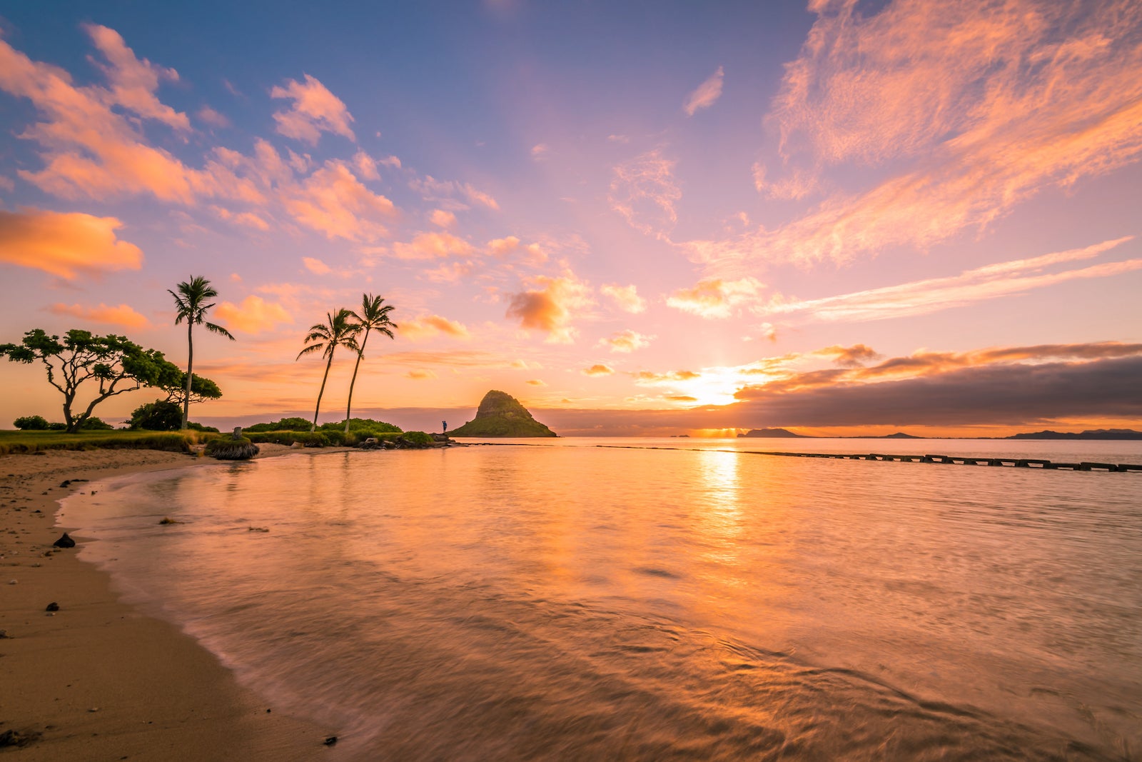 Fly to Hawaii from the West Coast for less than $300