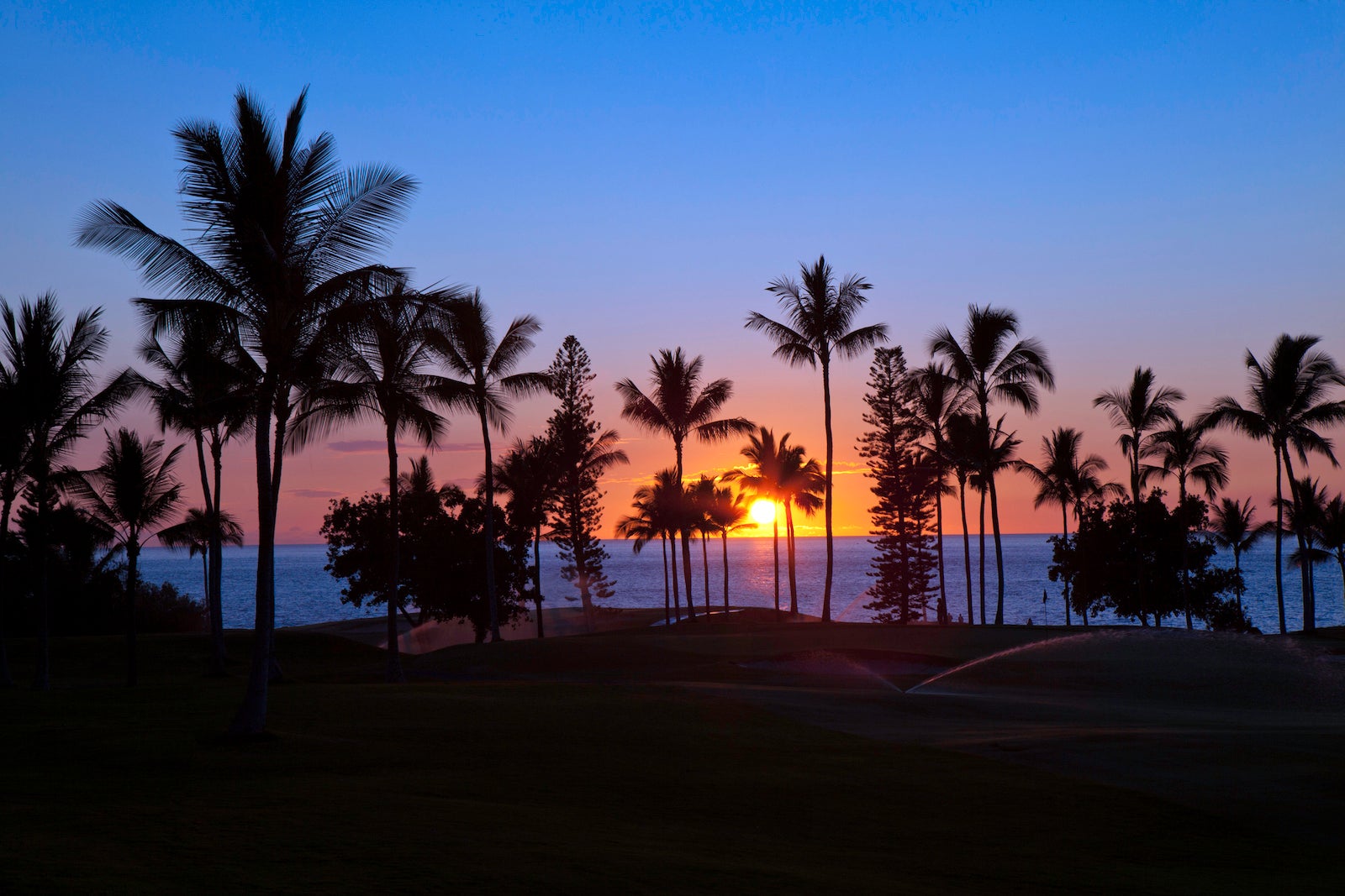 Tropical  sunset