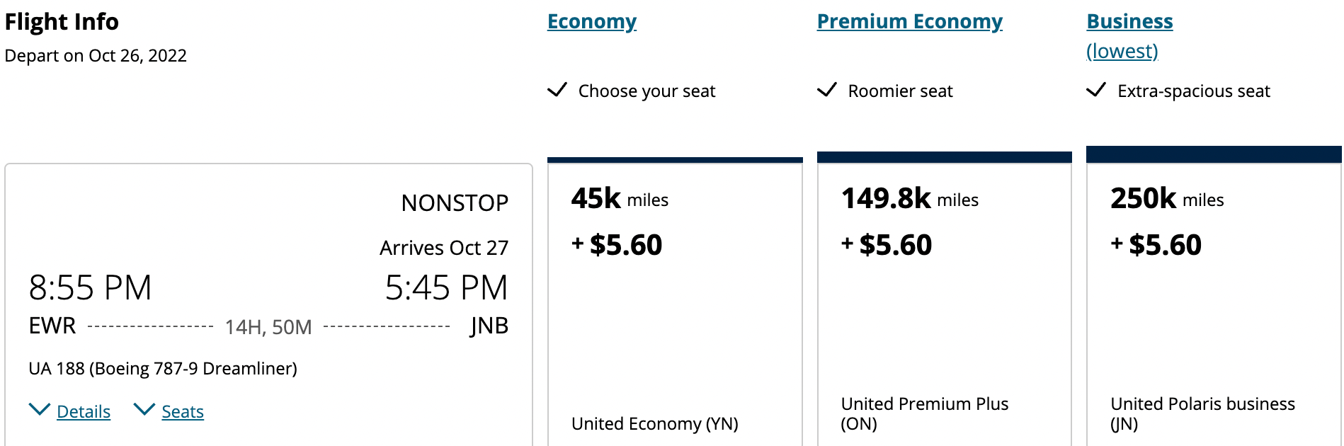 Booking a flight from EWR to JNB