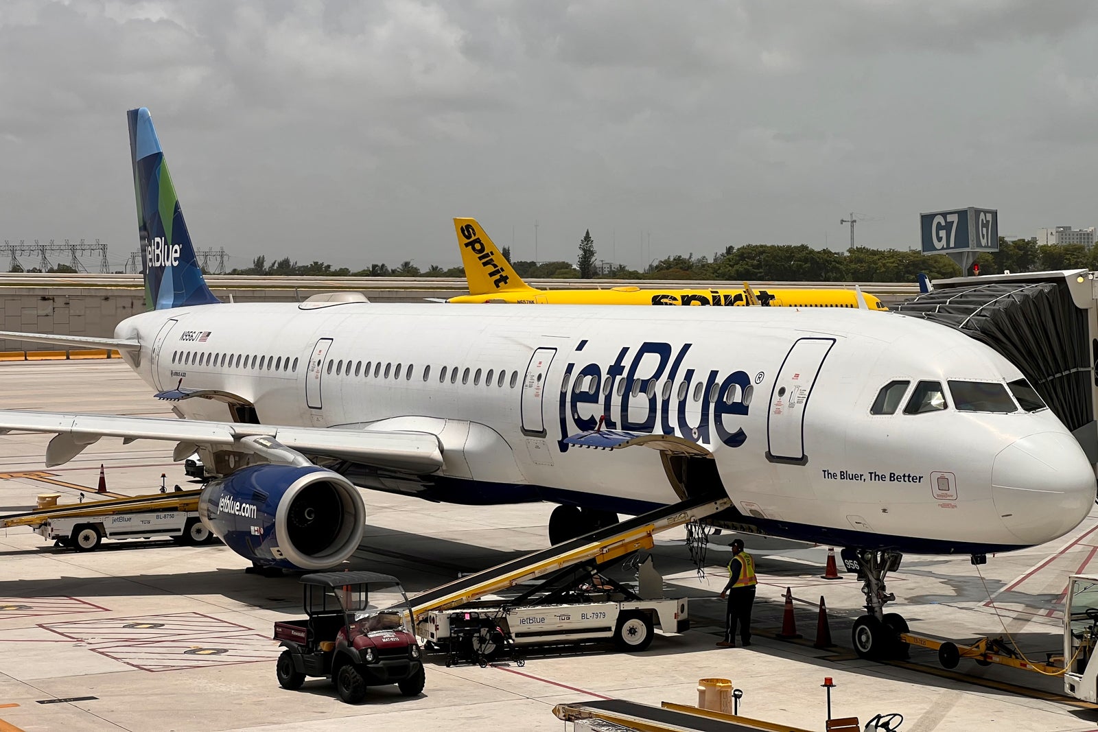 A snapshot of the merger between JetBlue and Spirit IMG 5441
