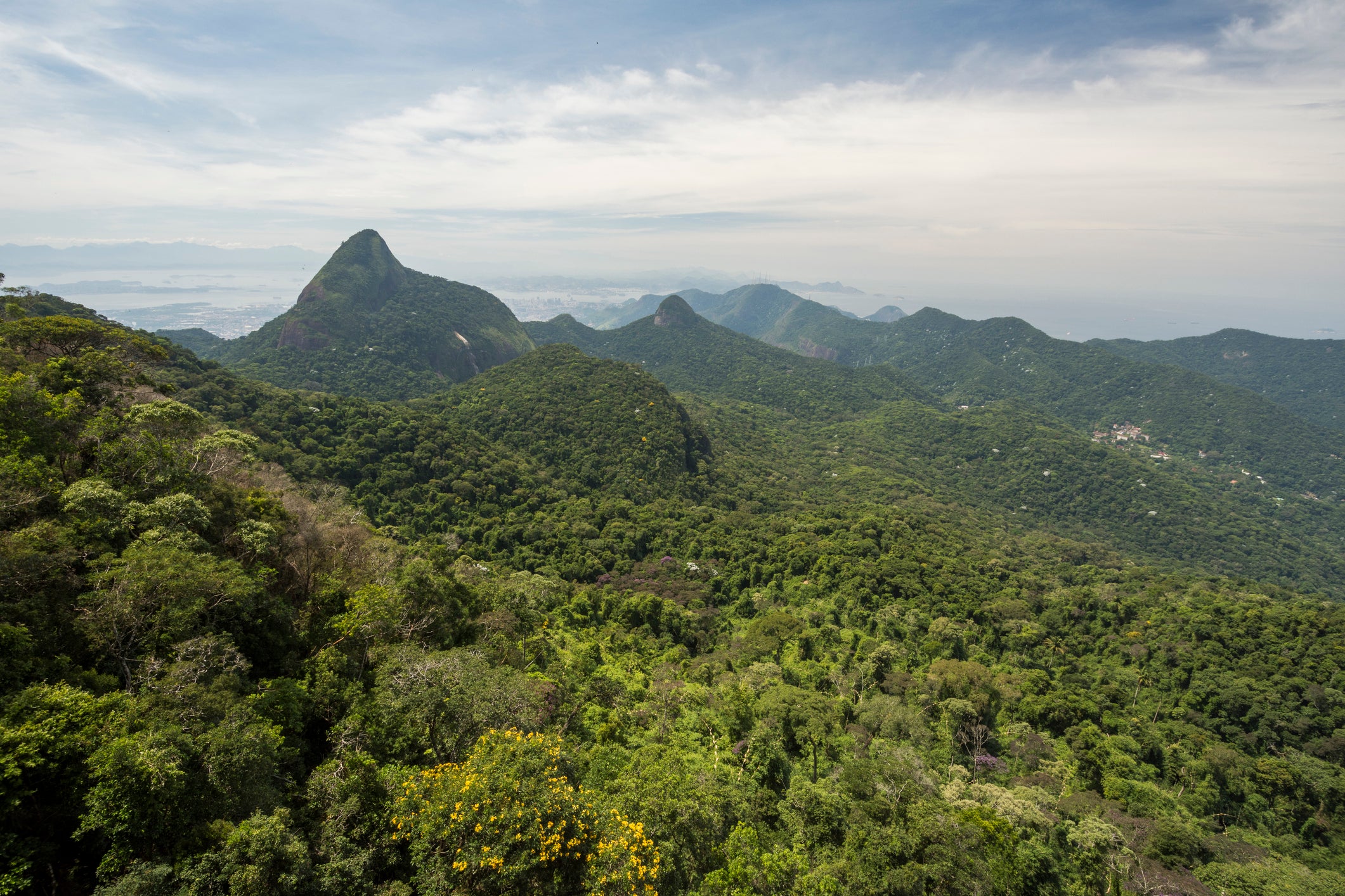 Scenery of forest and mountains, Tijuca Forest National Park, Rio de Janeiro, Brazil