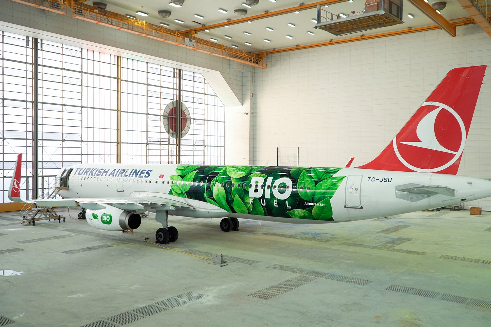 Why airlines have sustainabilitythemed aircraft The Points Guy