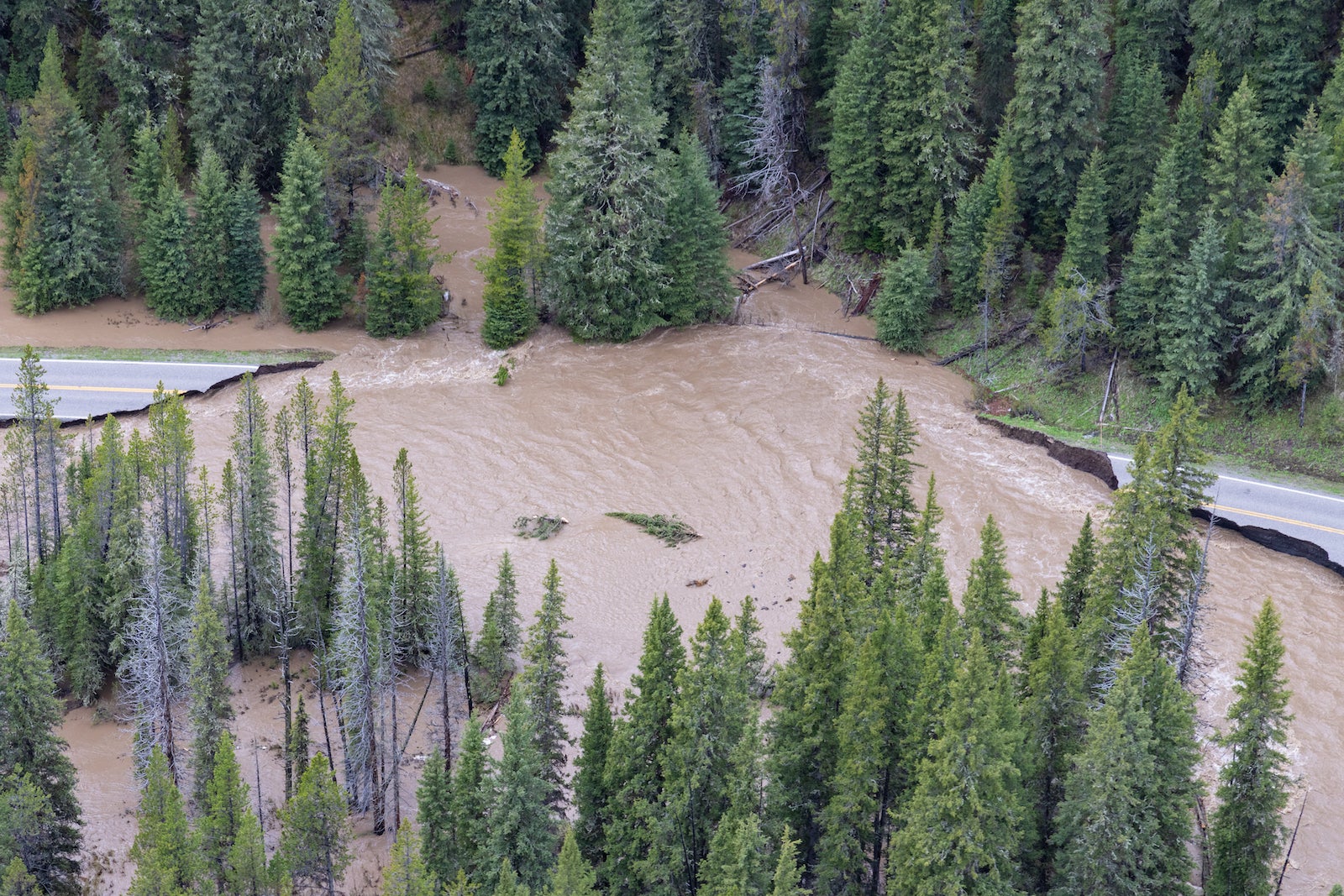 Yellowstone National Park opens key entrance after summer floods The