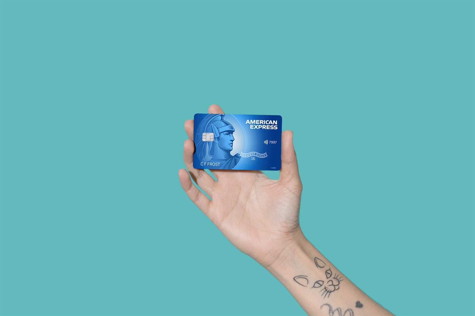 Photo of hand holding Blue Cash Everyday card