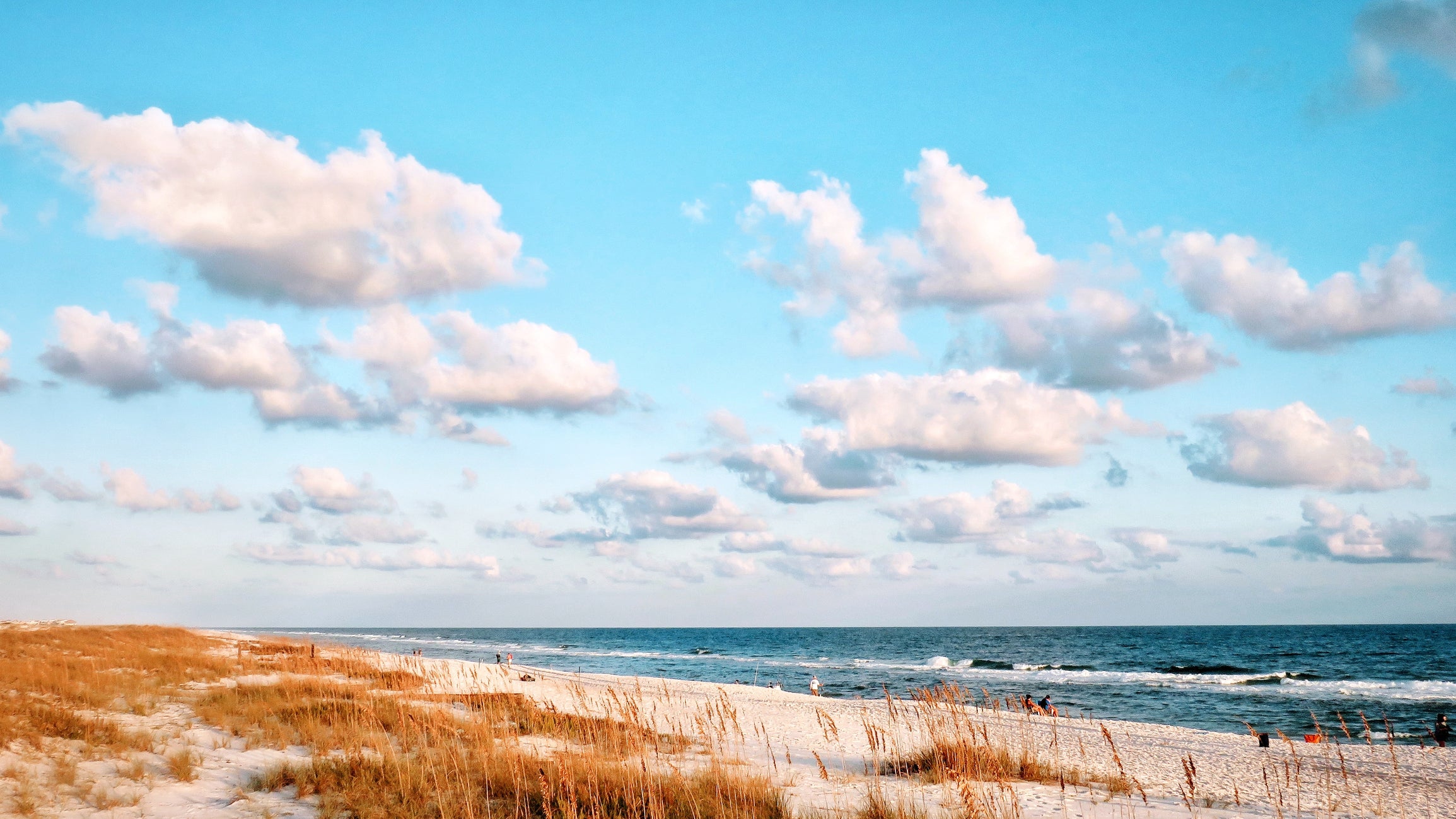 visit to a beach