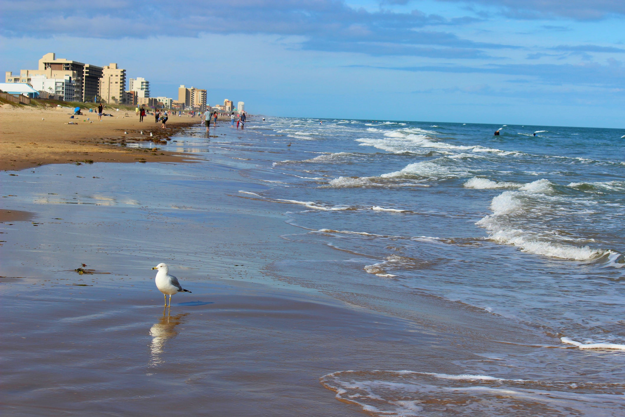 visit to a beach