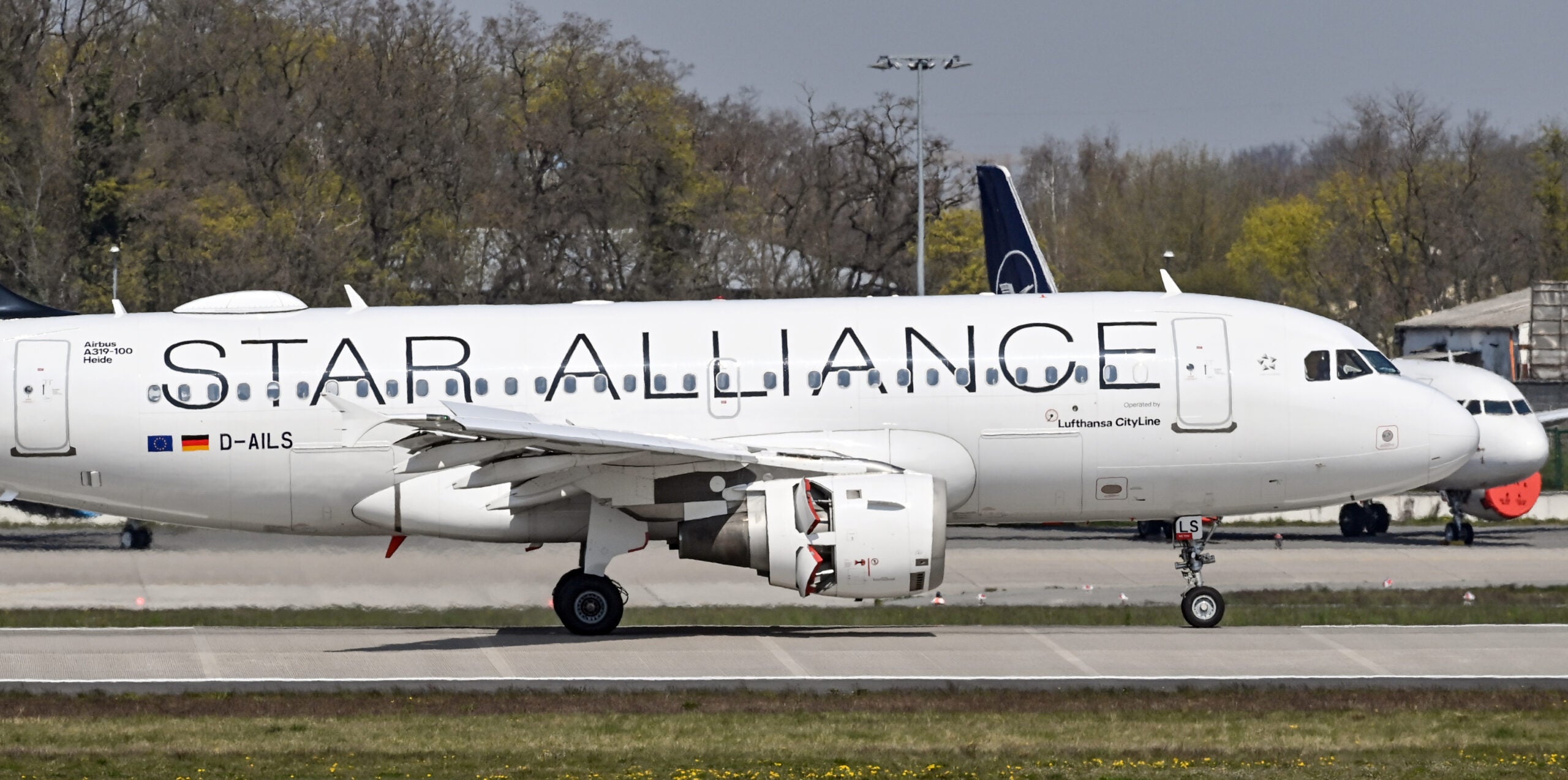 Lufthansa Airbus A319 in Star Alliance livery