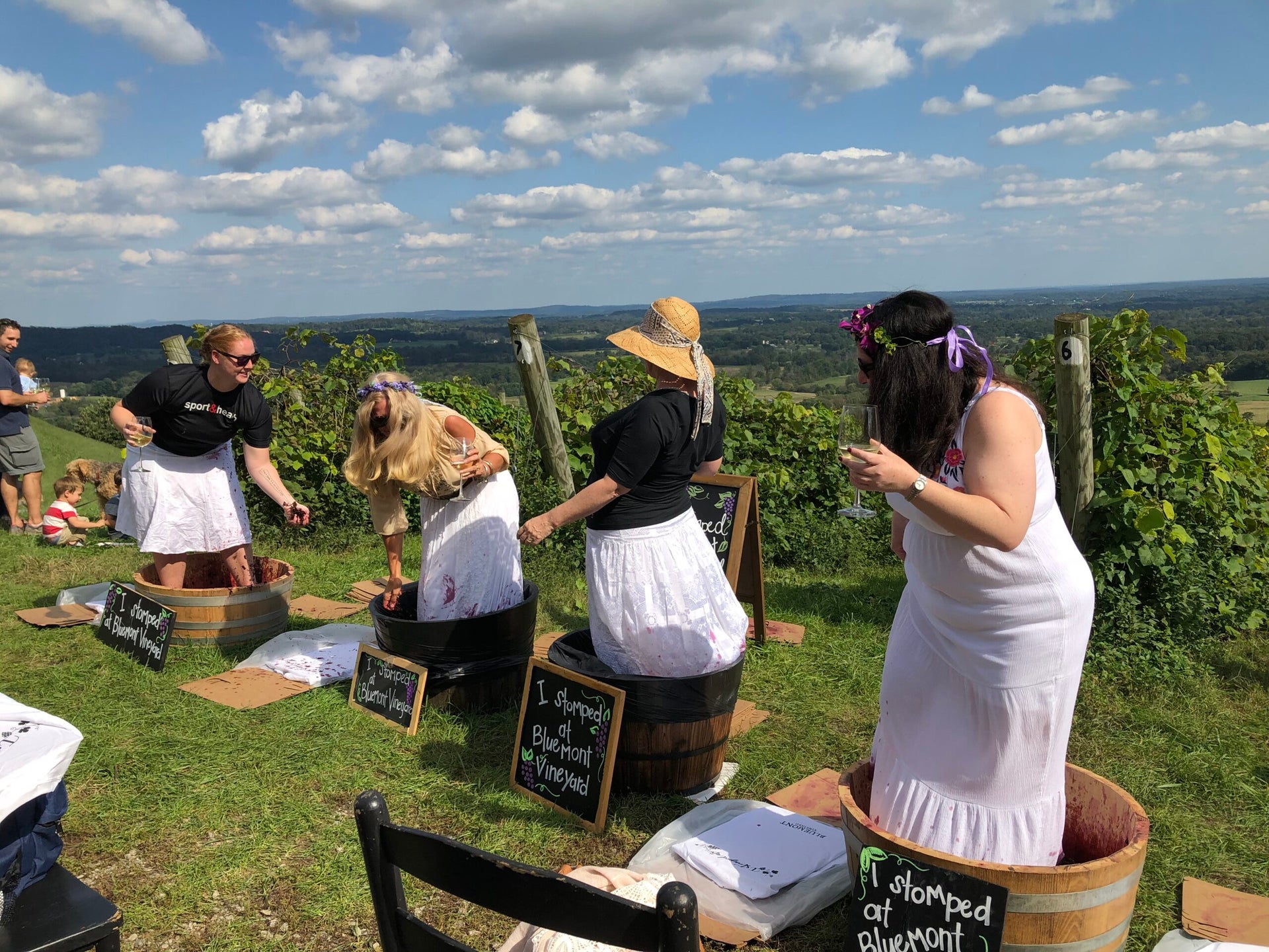 Sip your way through fall at these US wine harvest festivals The