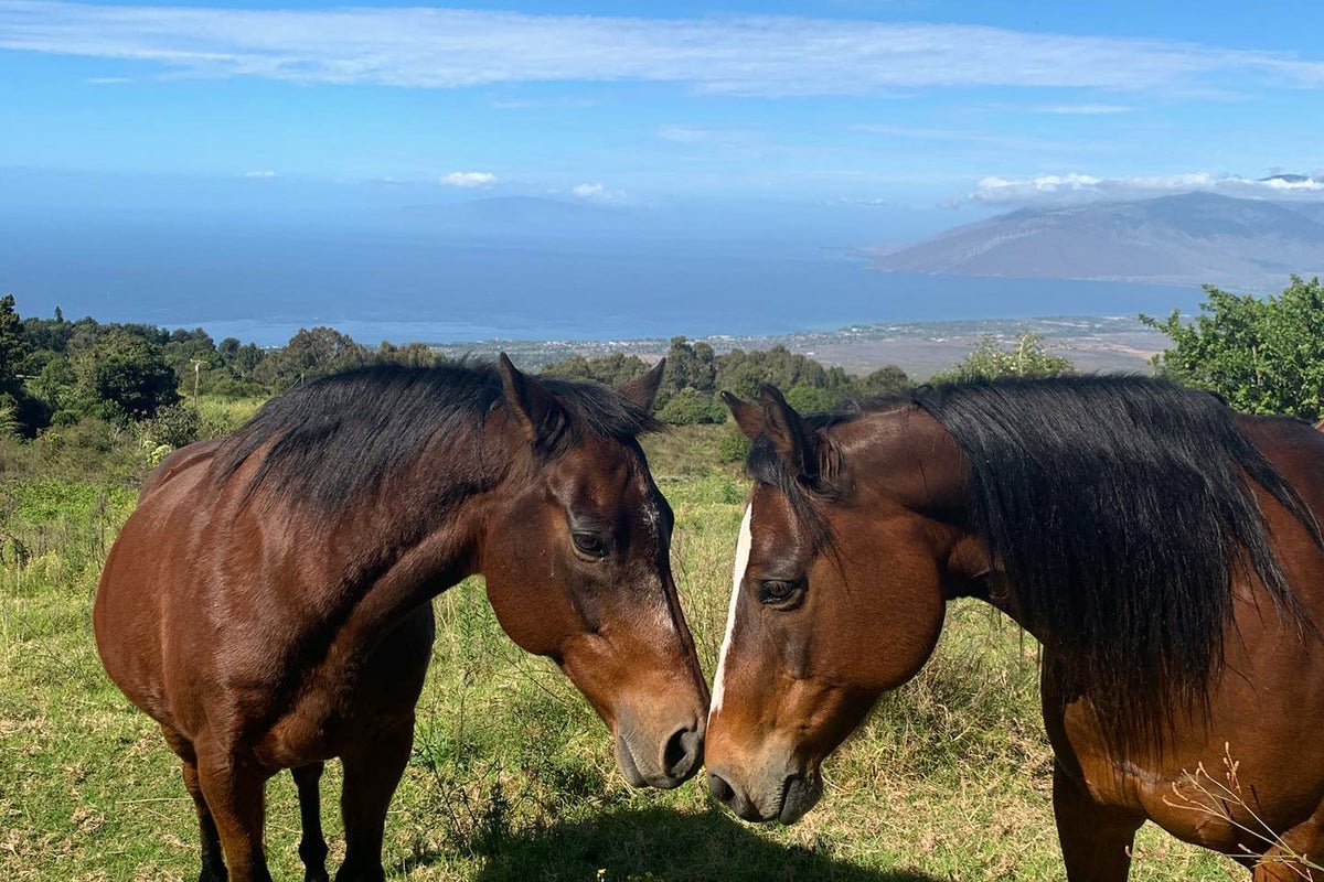 Places in Maui to get away from the crowds - The Points Guy