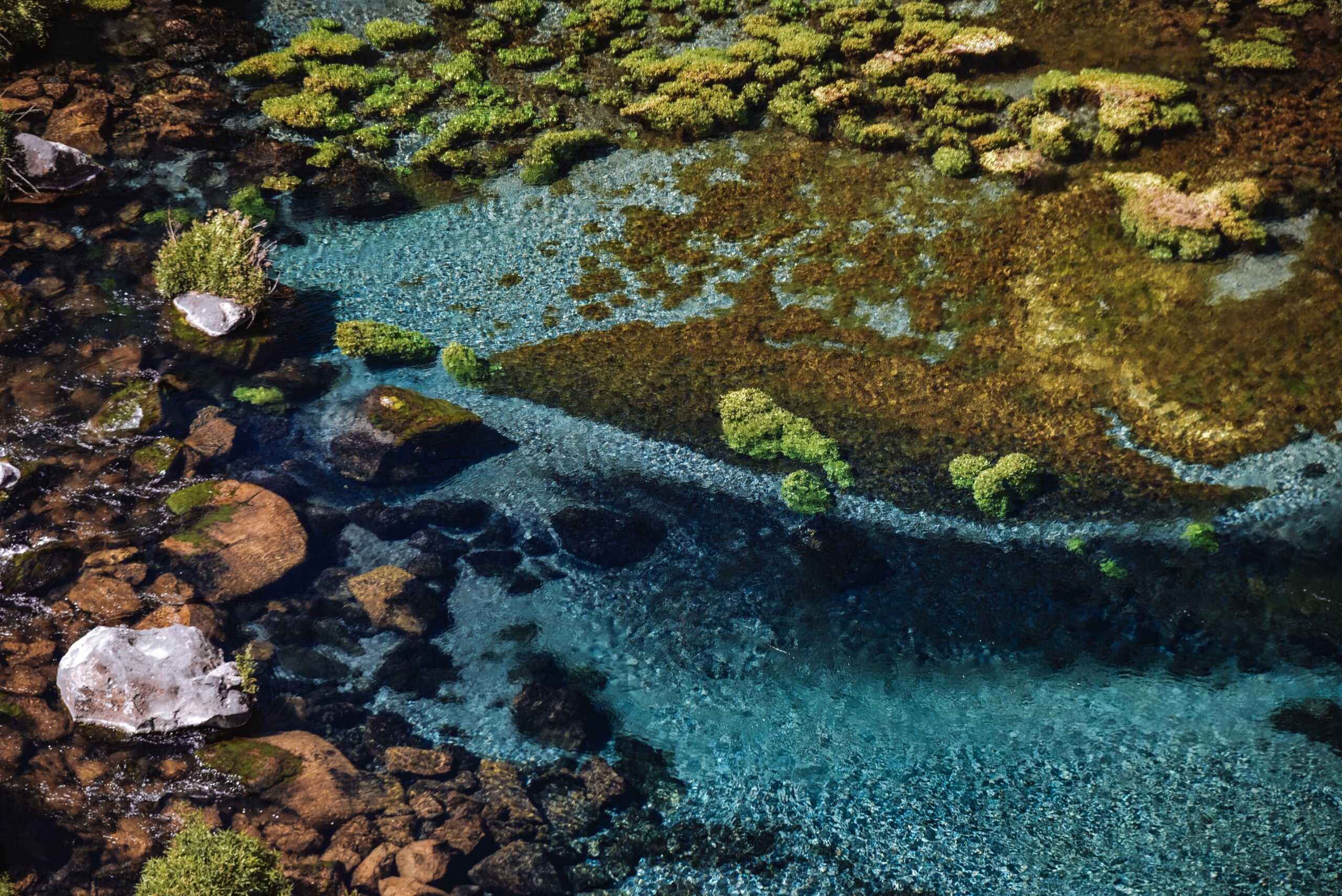 Thousand Springs State Park