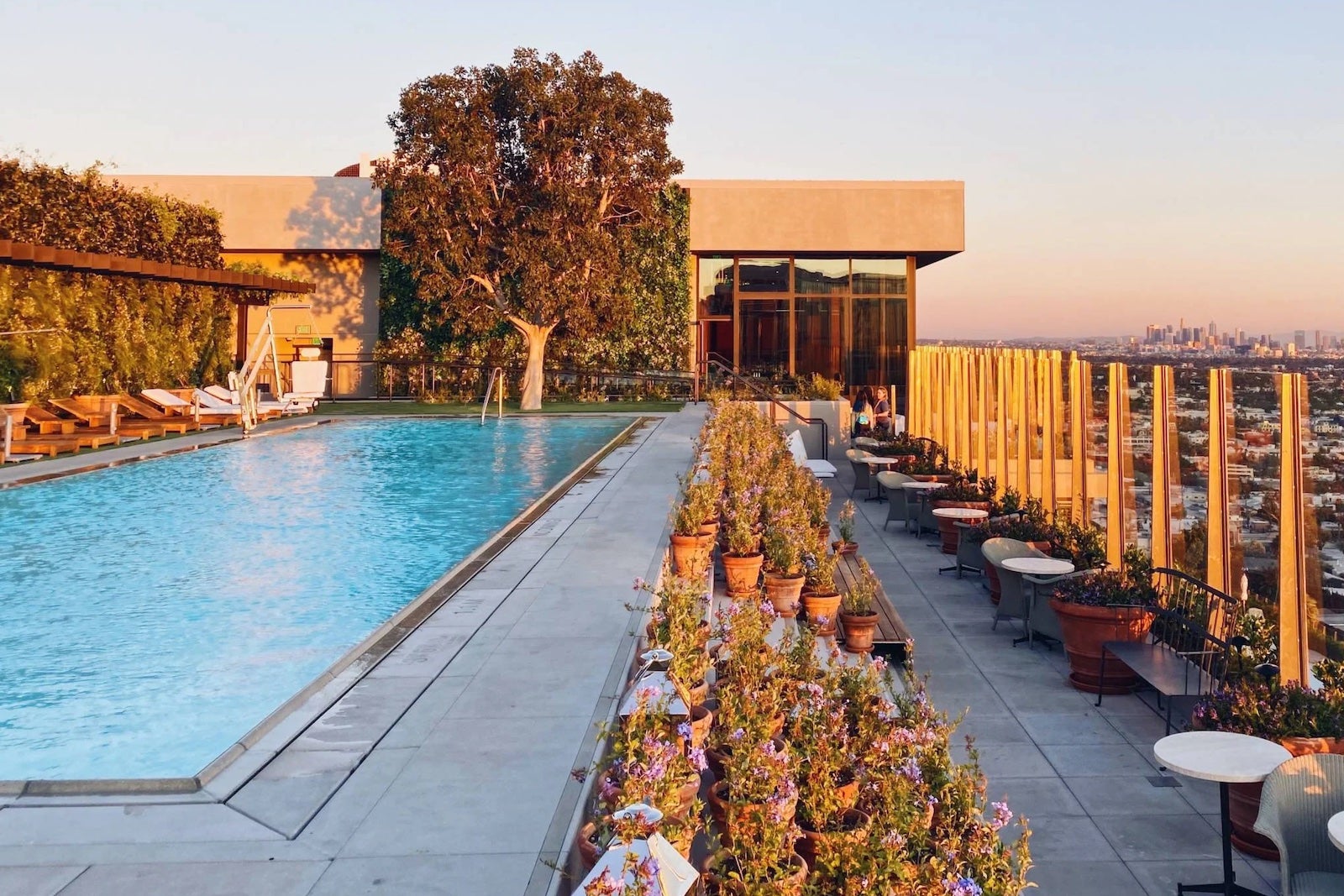 hotel pool on roof overlooking downtown LA at sunset