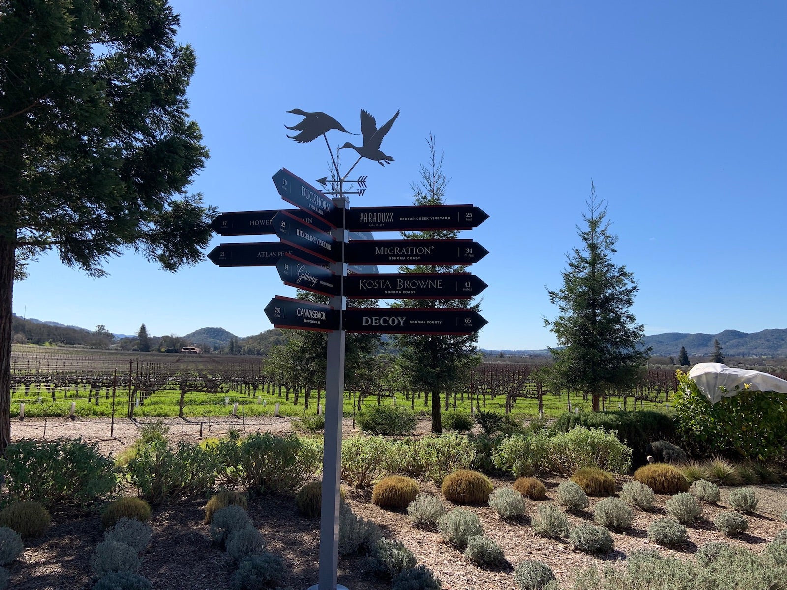 wineries sign in napa