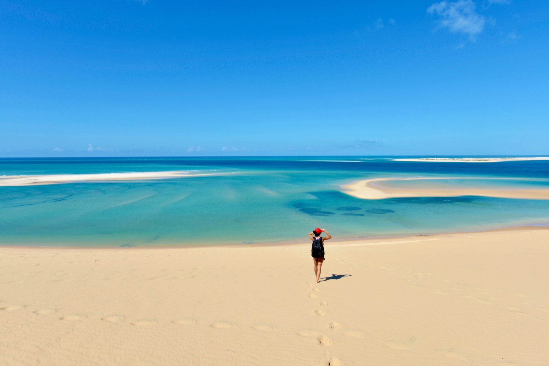 The 12 Best Bush to beach Safari Destinations To Visit The Points Guy the-12-best-bush-to-beach-safari-destinations-to-visit-the-points-guy