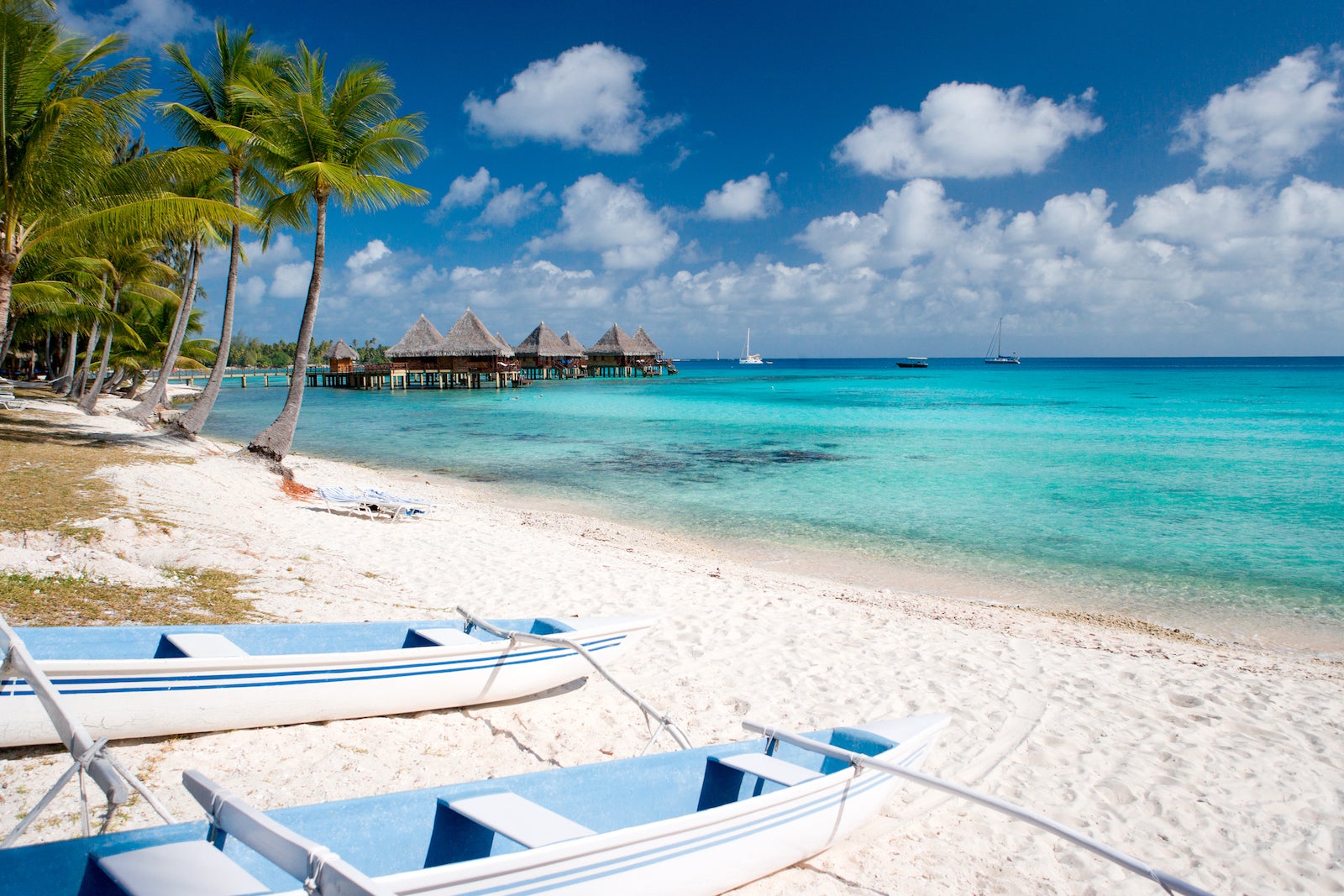 Notification de deal : la chambre prime classe affaires d’Air Tahiti s’étend à la Polynésie française