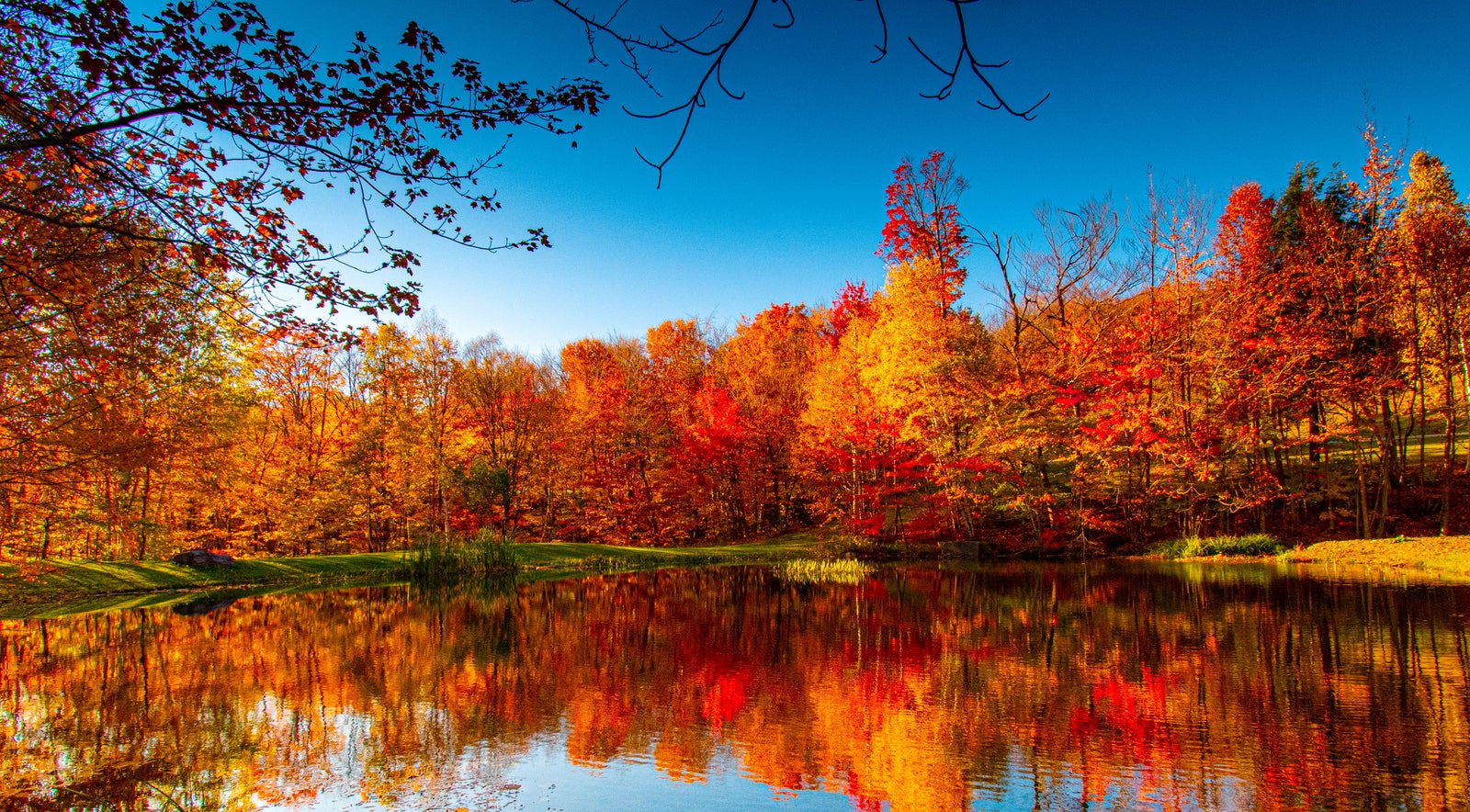 Fall foliage by the lake in Vermont